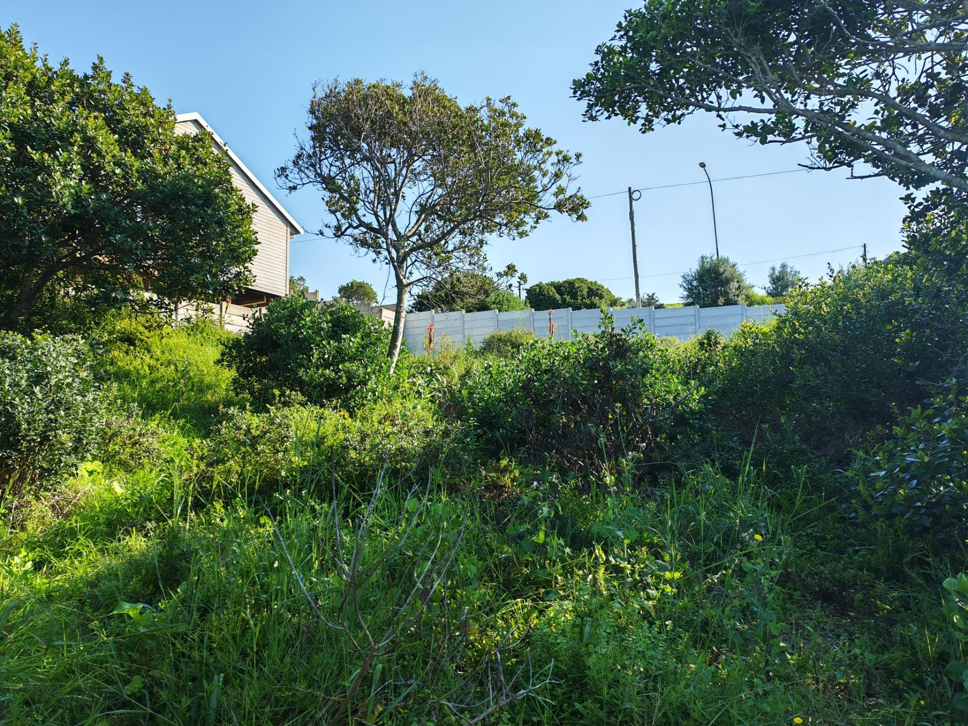 Image 14