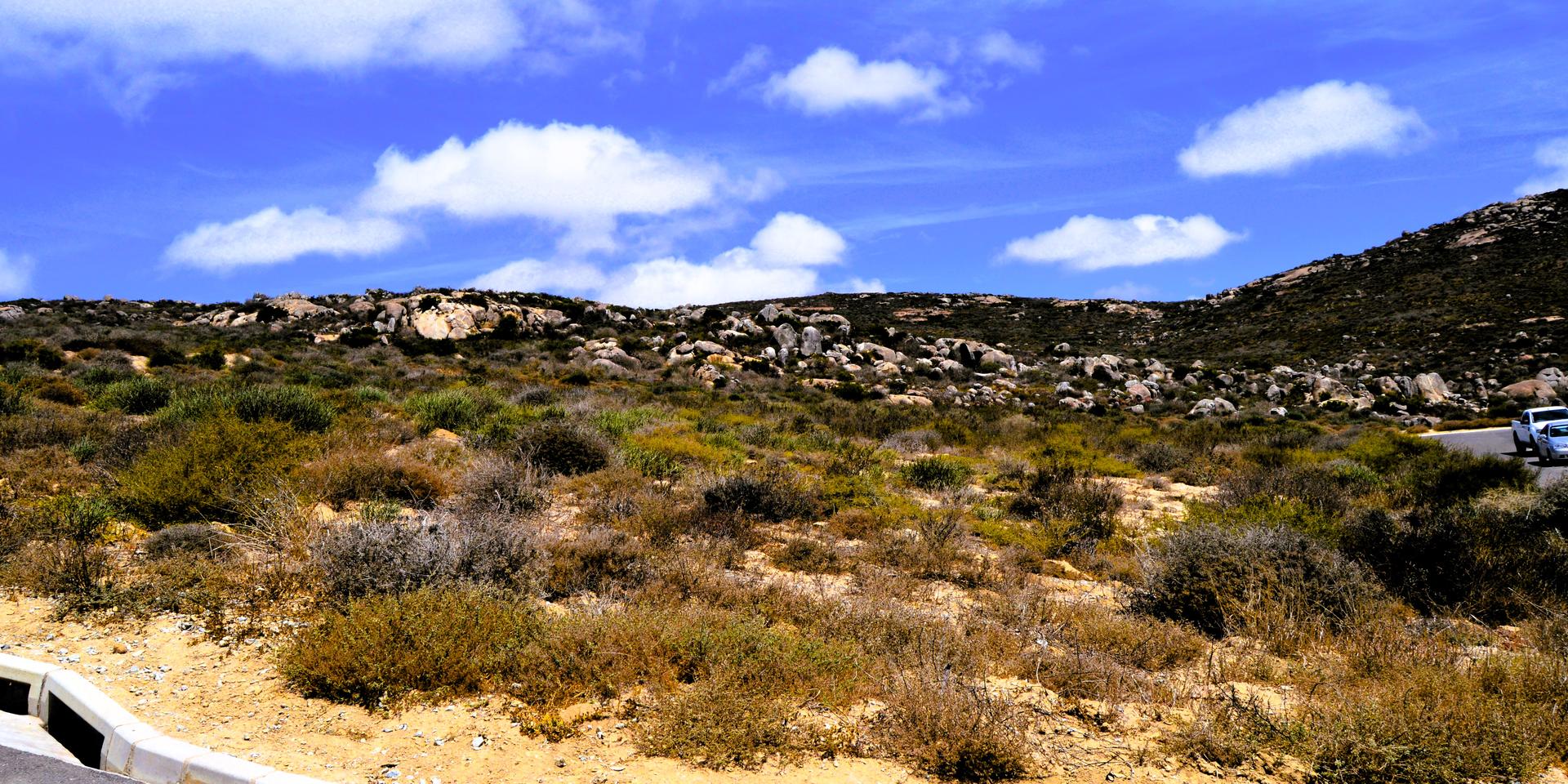 Image 3 of 6