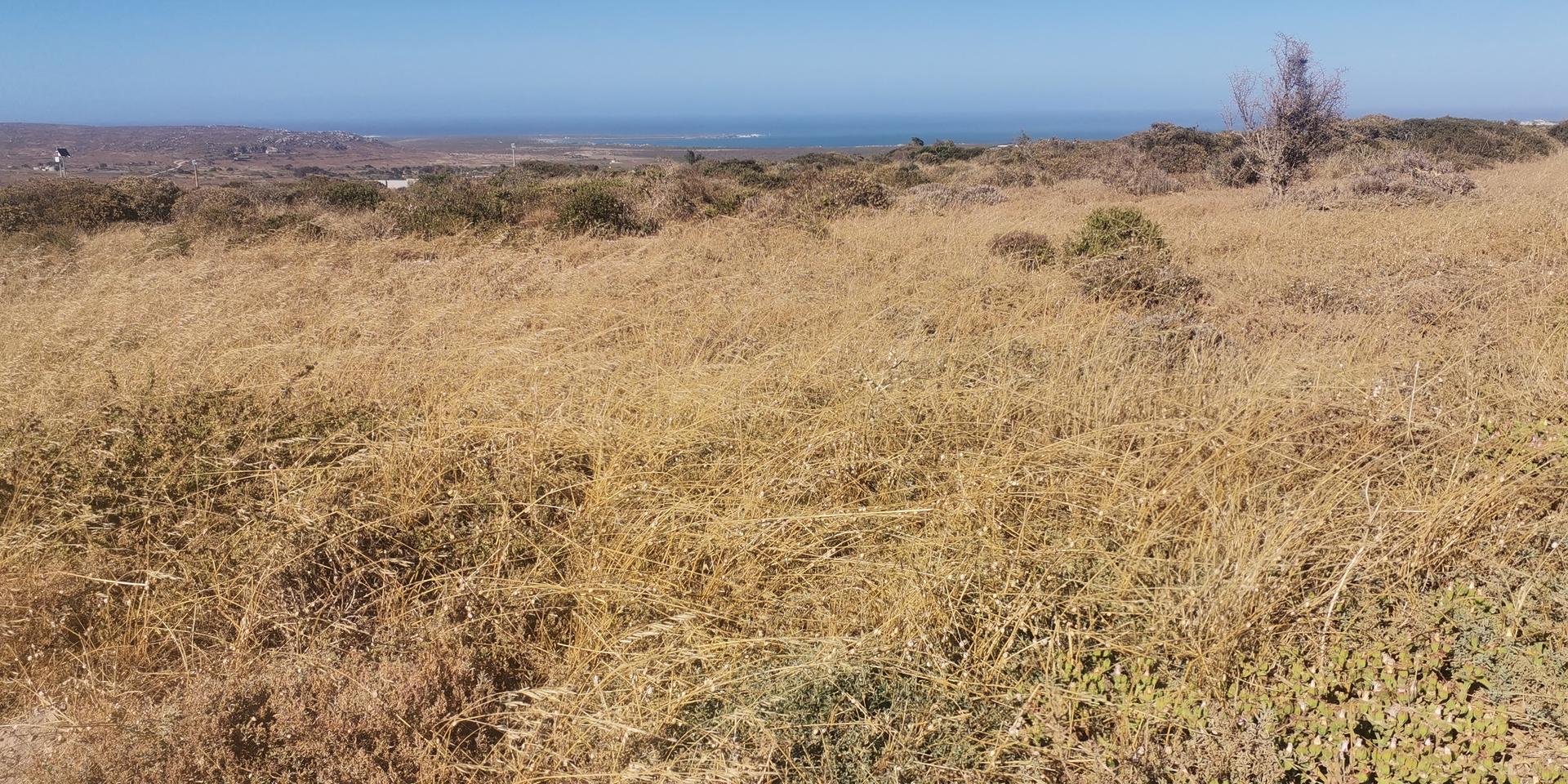 Image 4 of 6