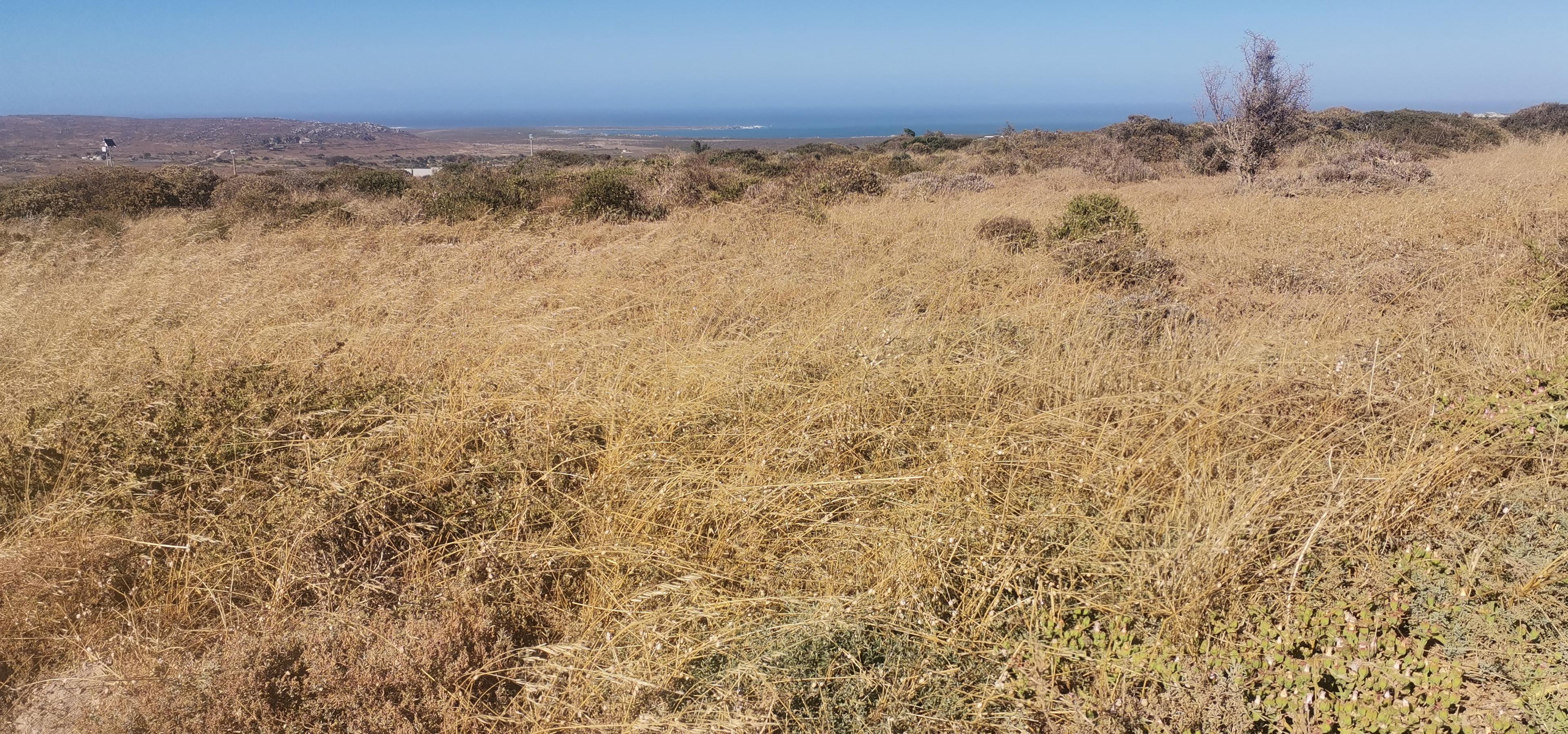 Image 4 of 6