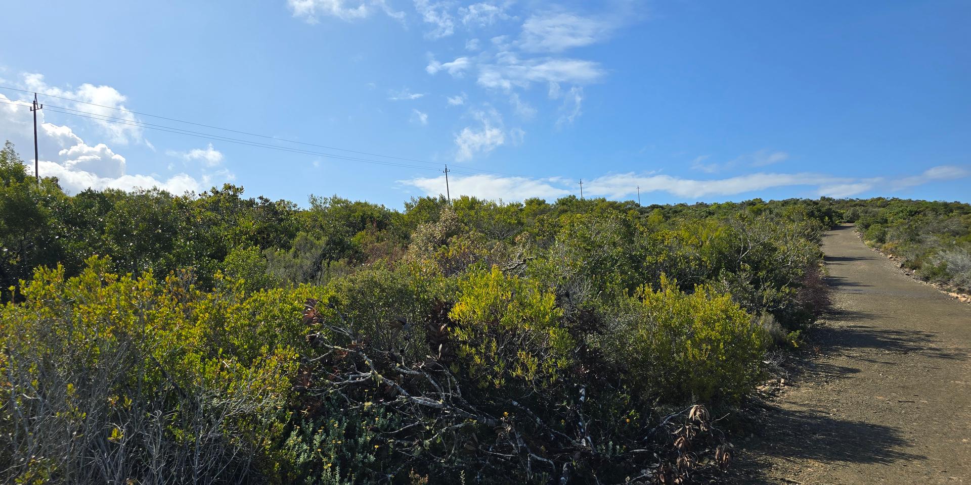 Image 4 of 6