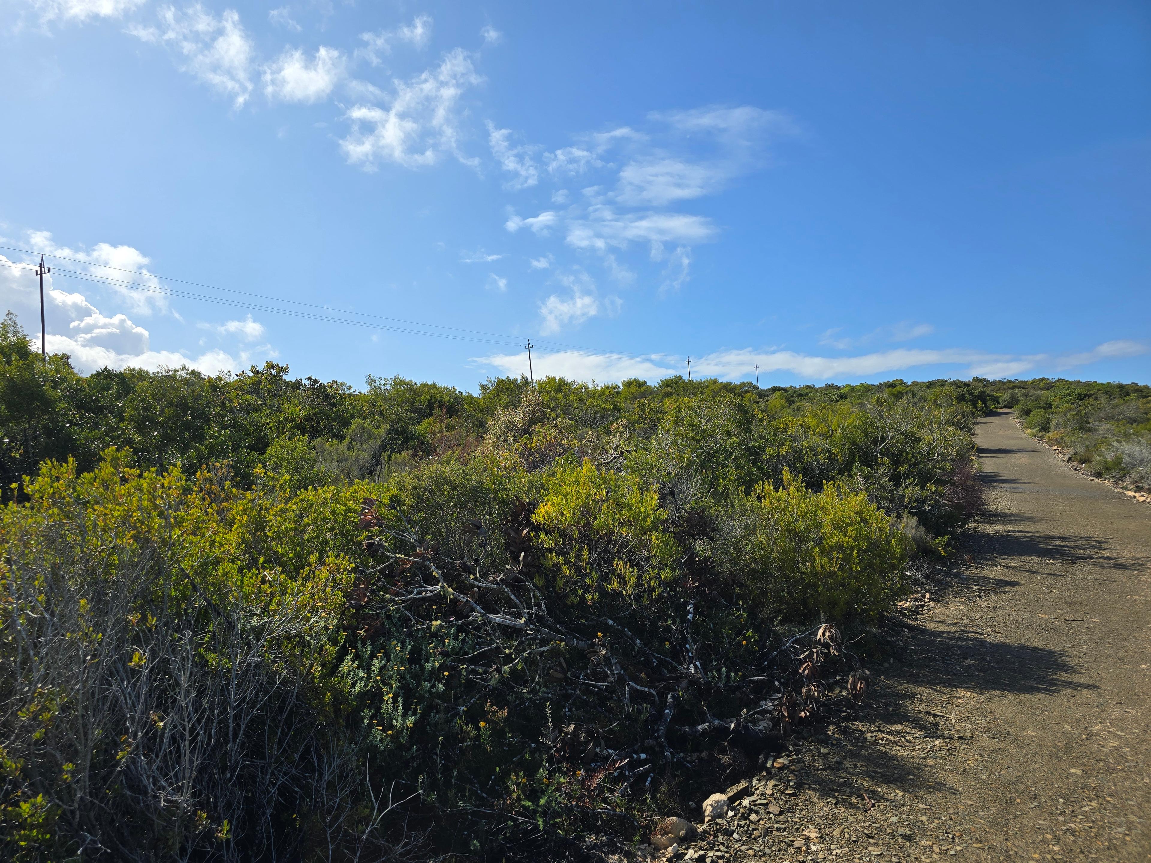 Image 4 of 6