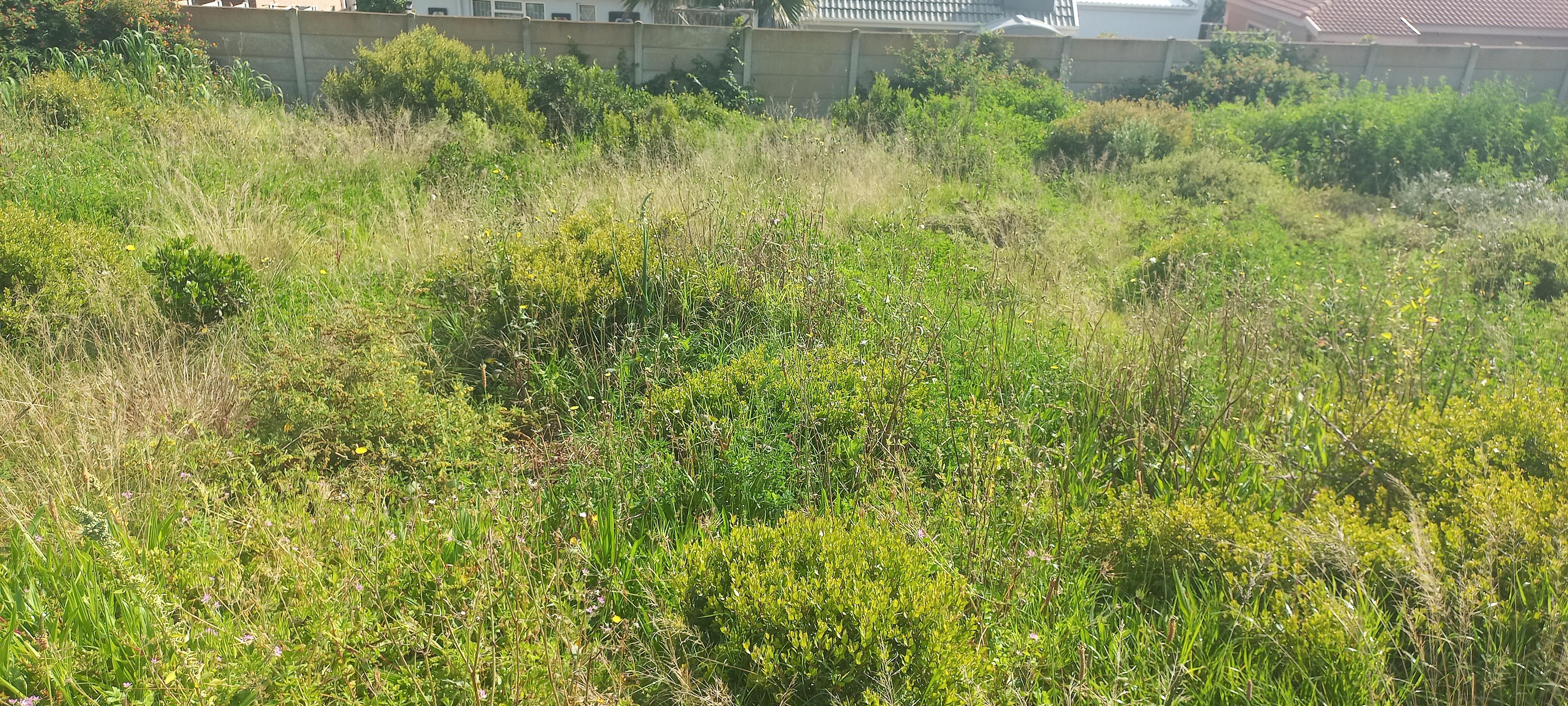 Image 17