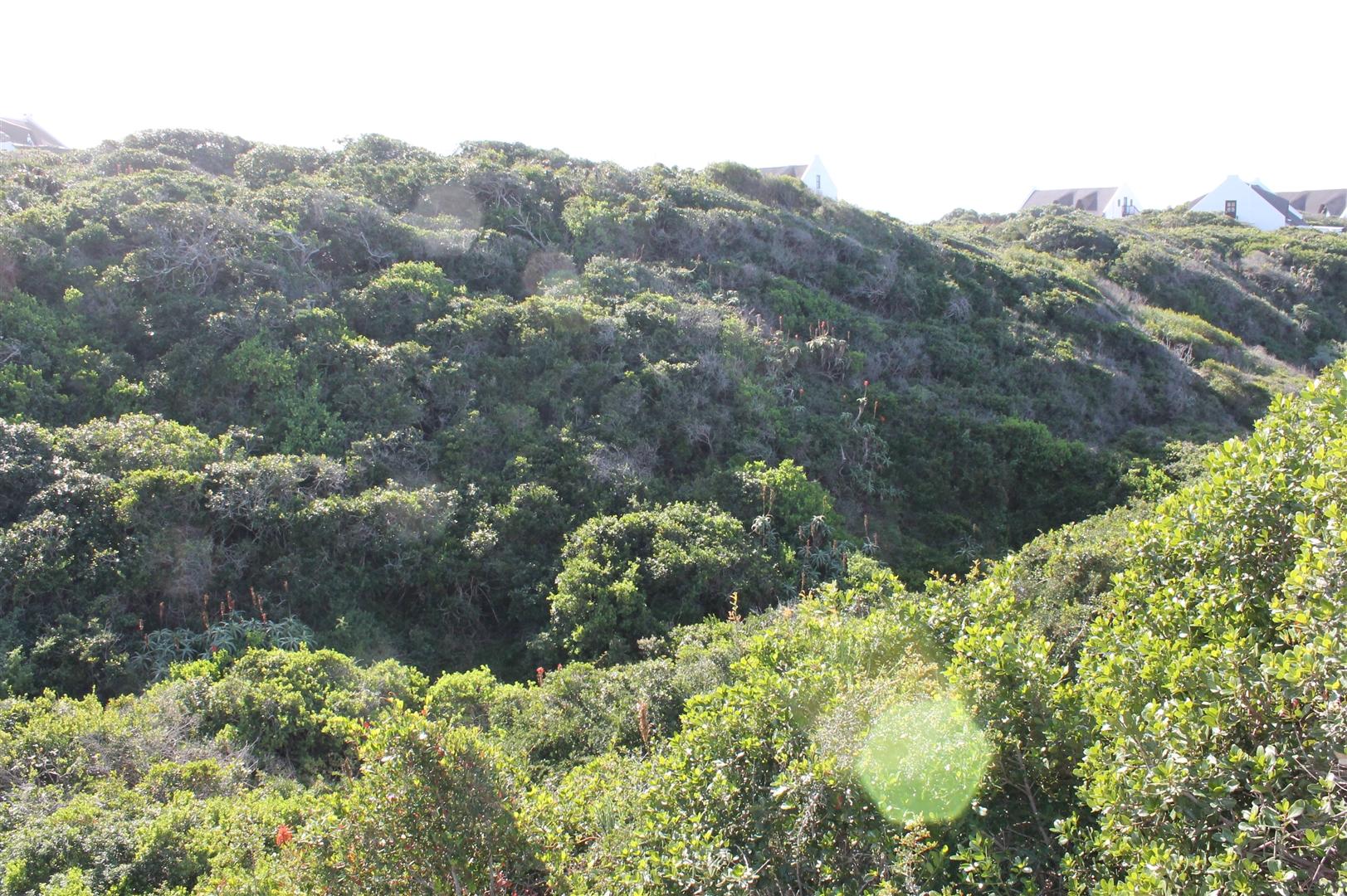 Image 13