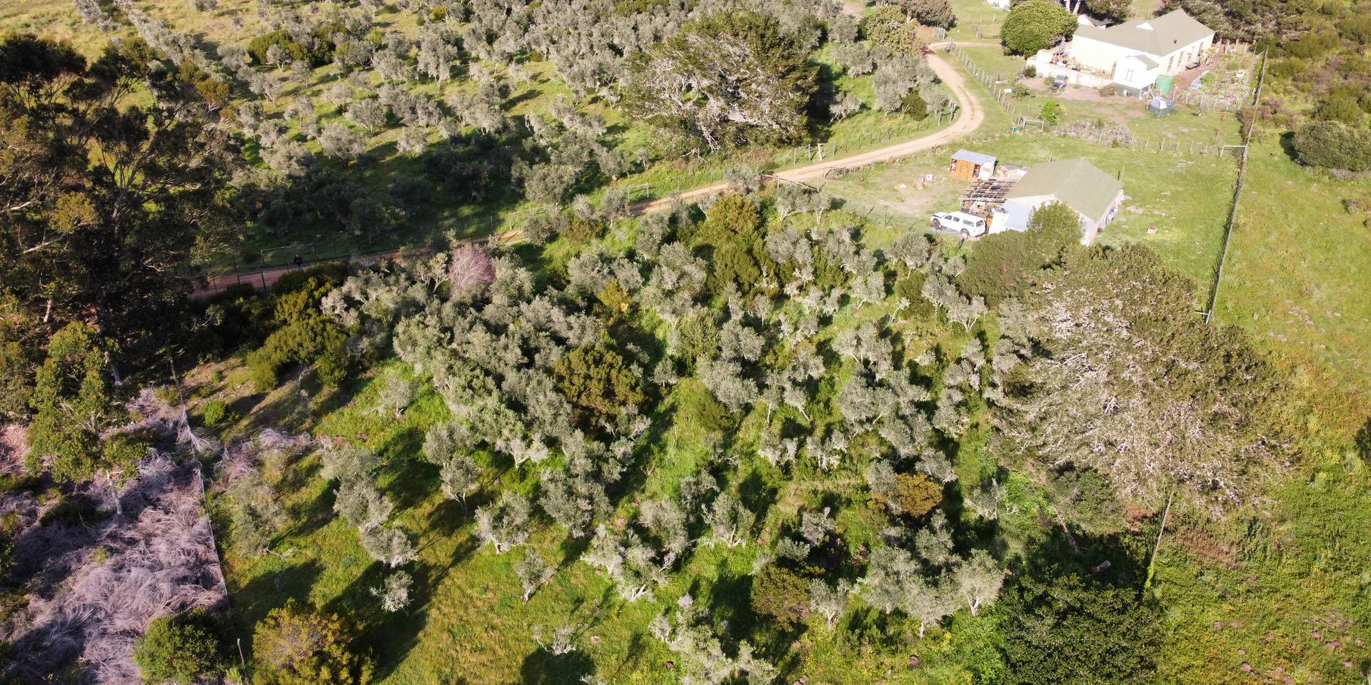 Image 4 of 6