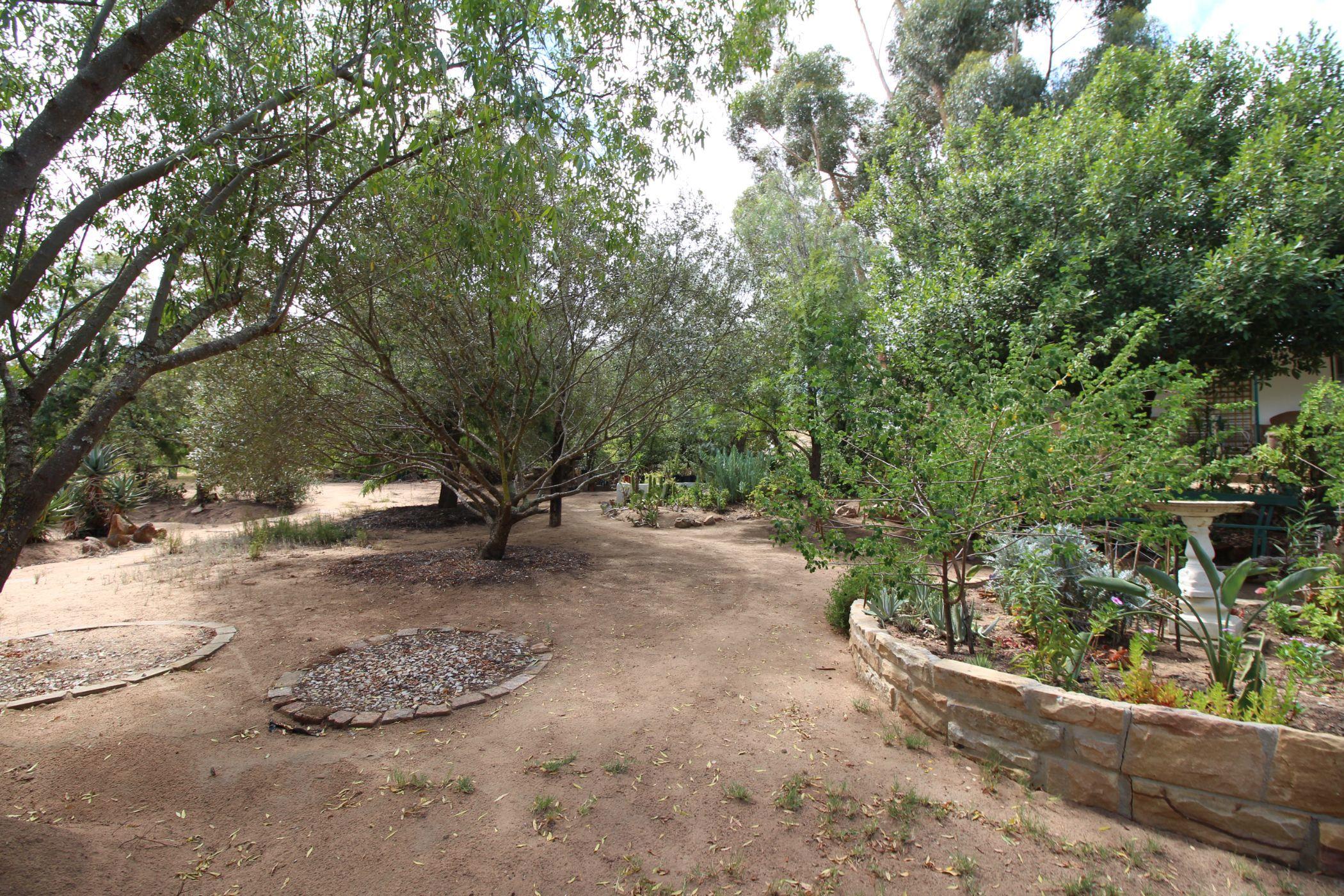 Image 37