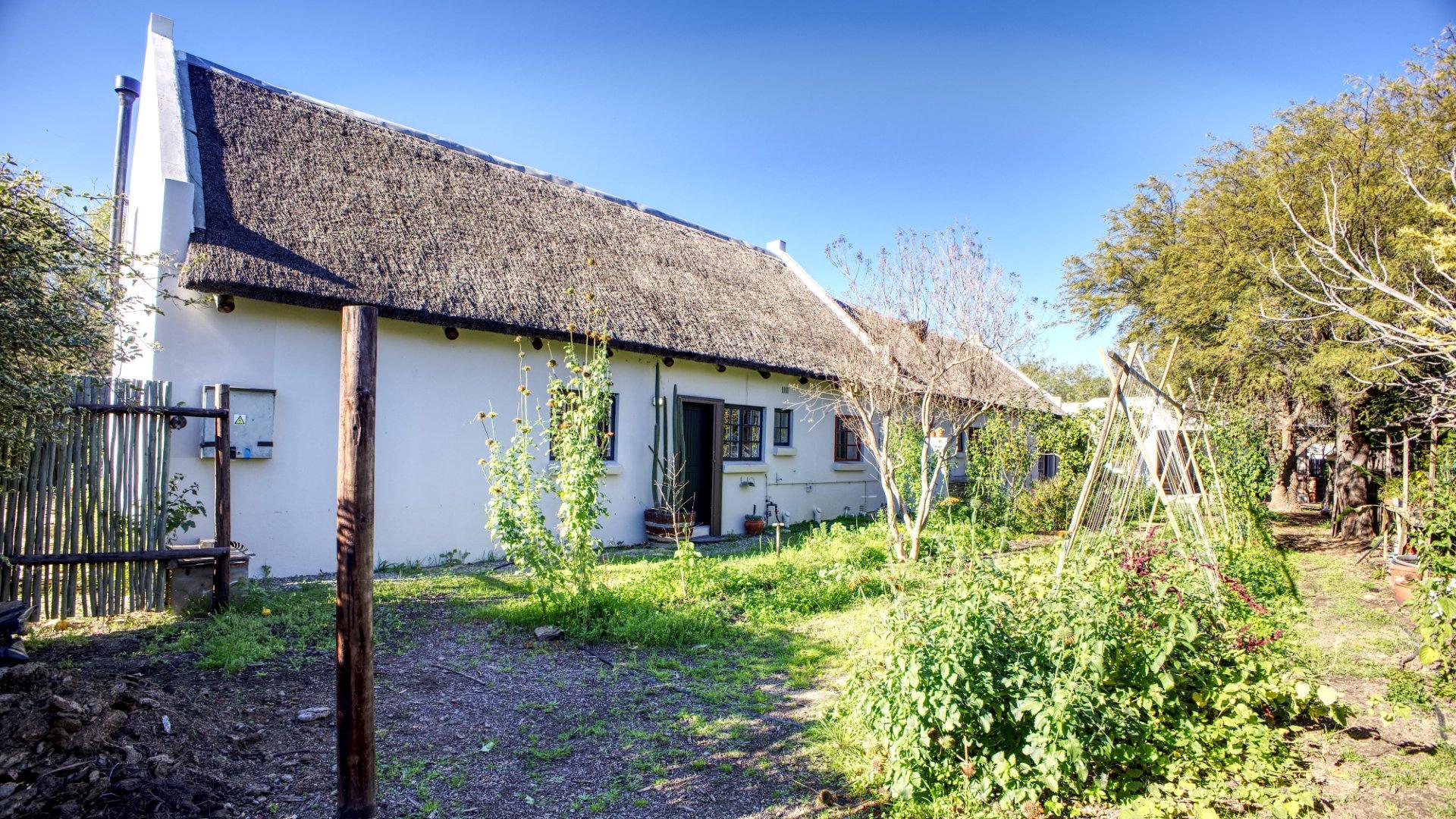 Image 41