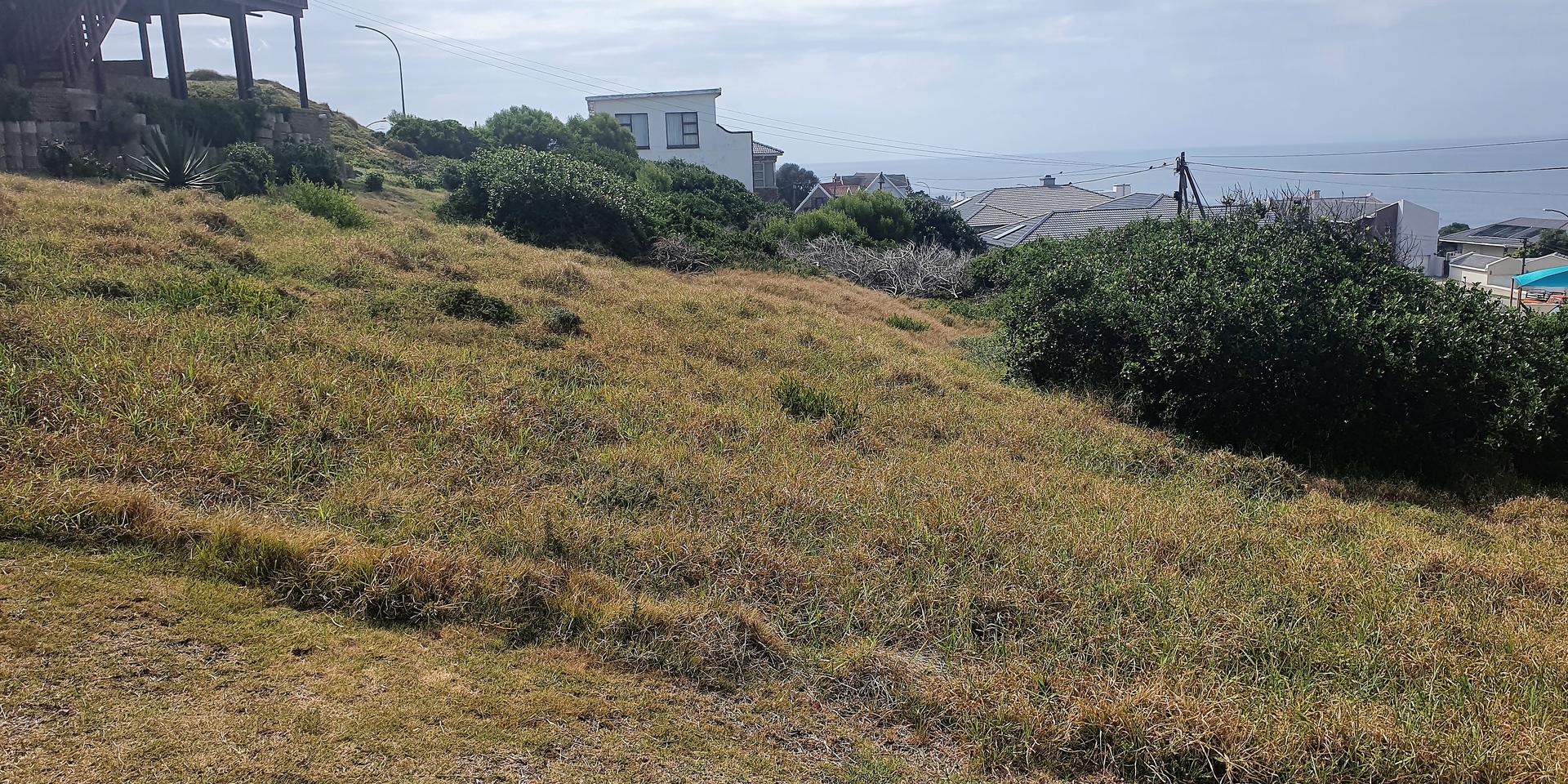 Image 4 of 6