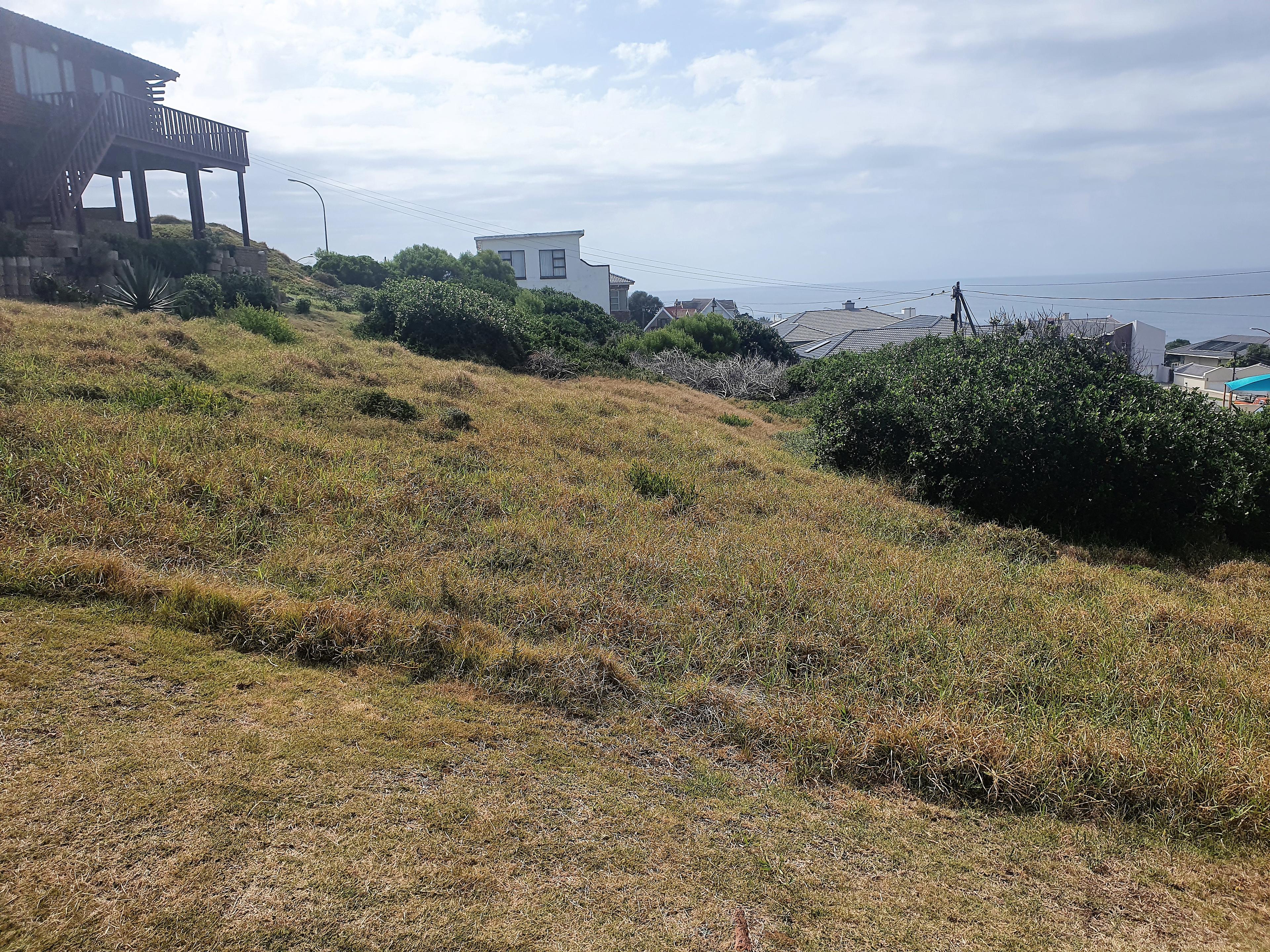 Image 4 of 6