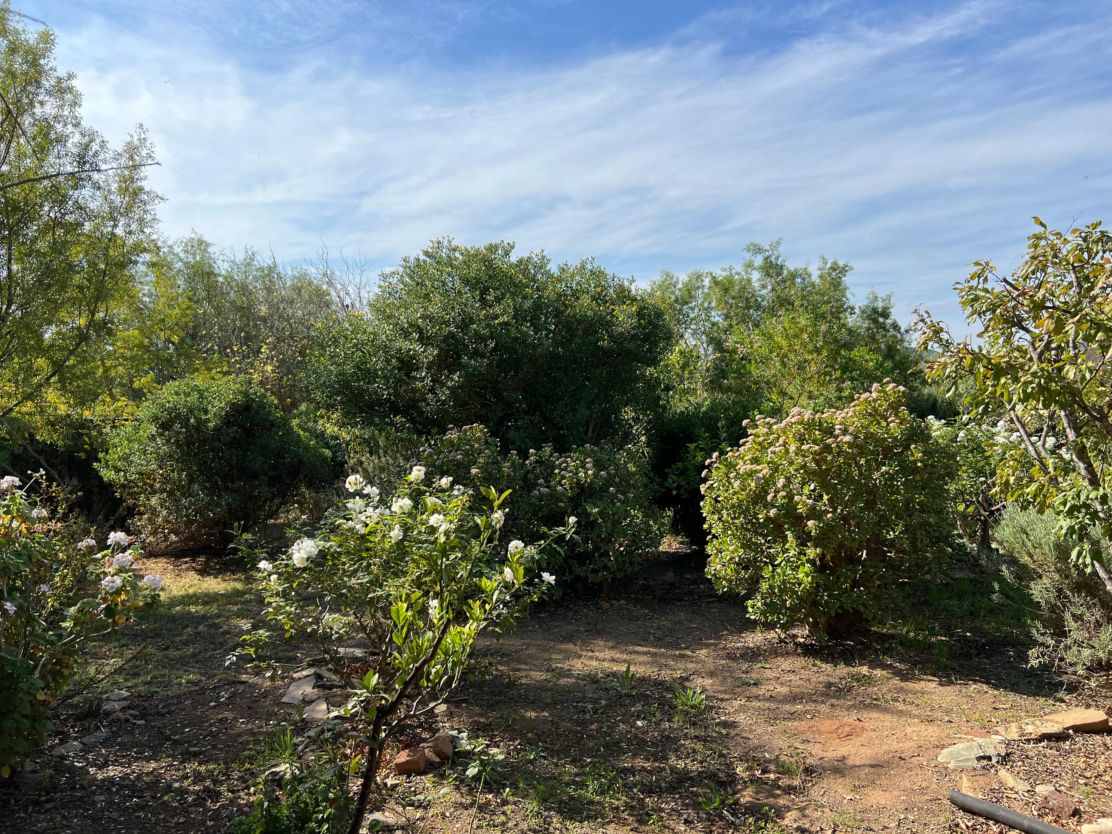 Image 38