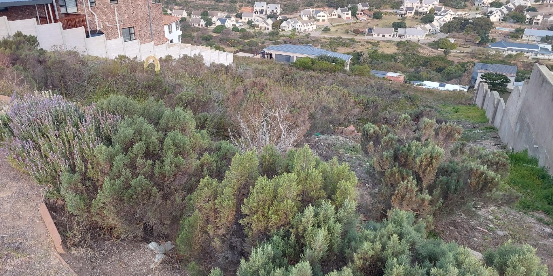 Image 3 of 6