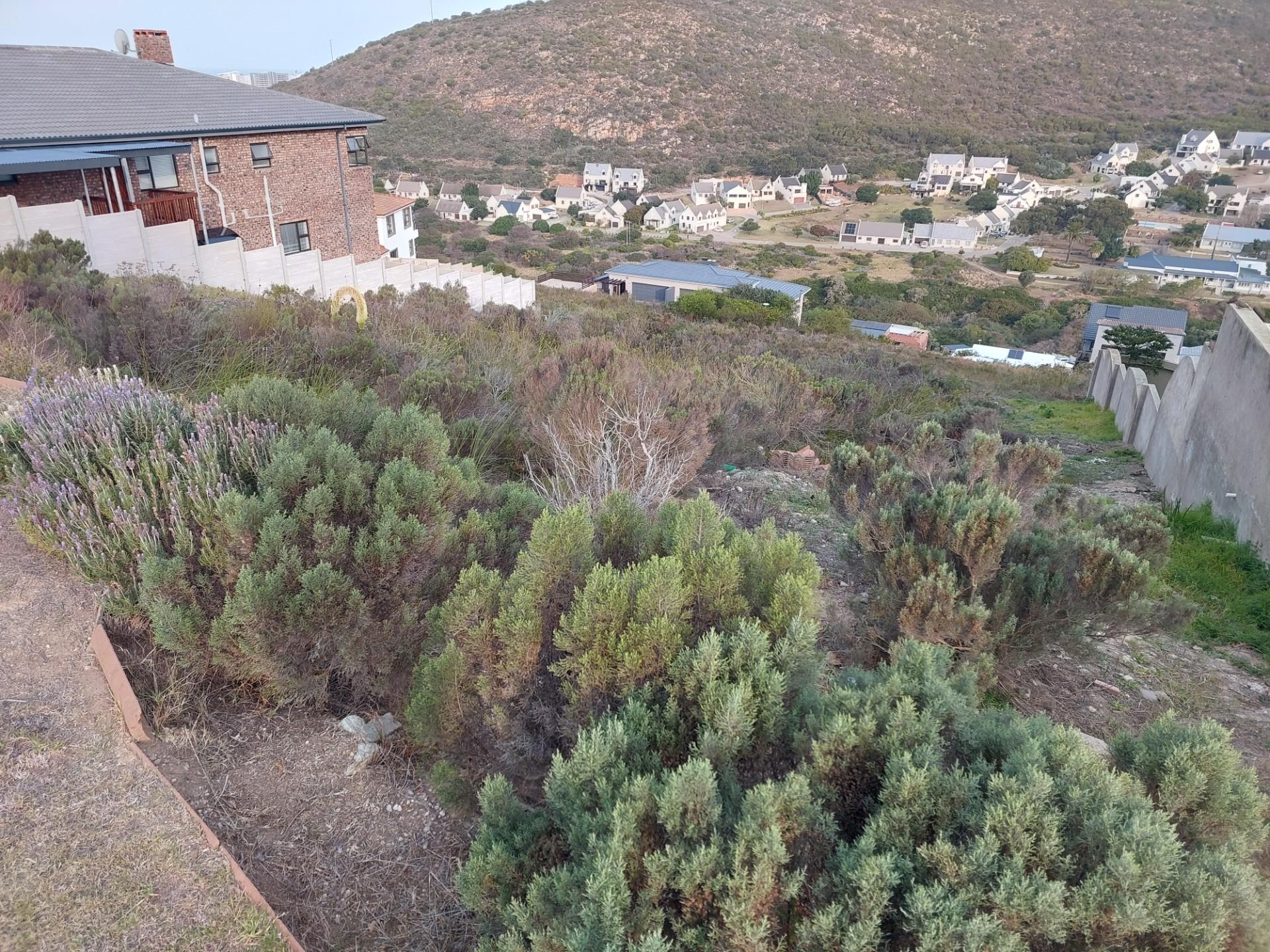 Image 3 of 6