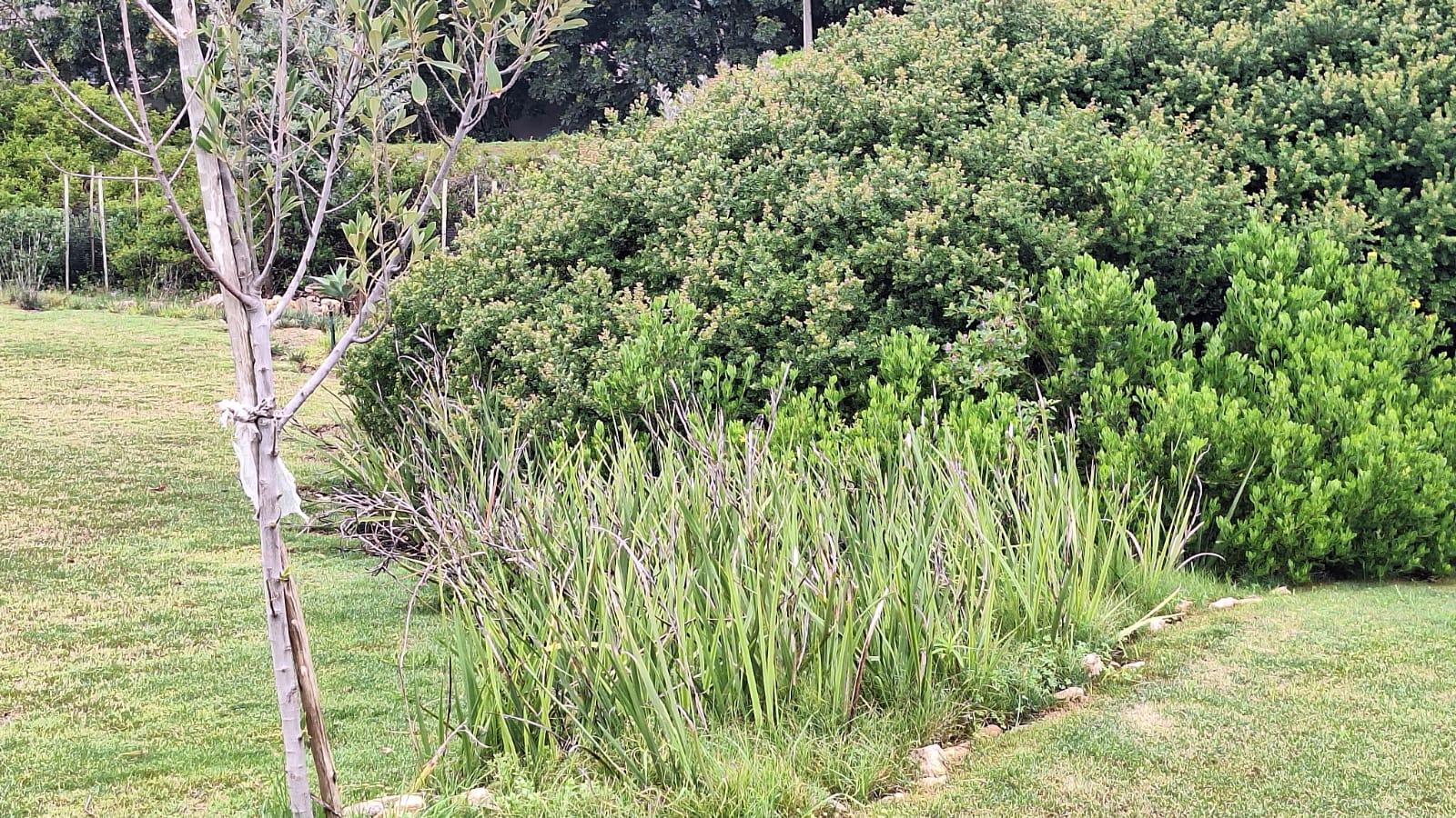 Image 4 of 6