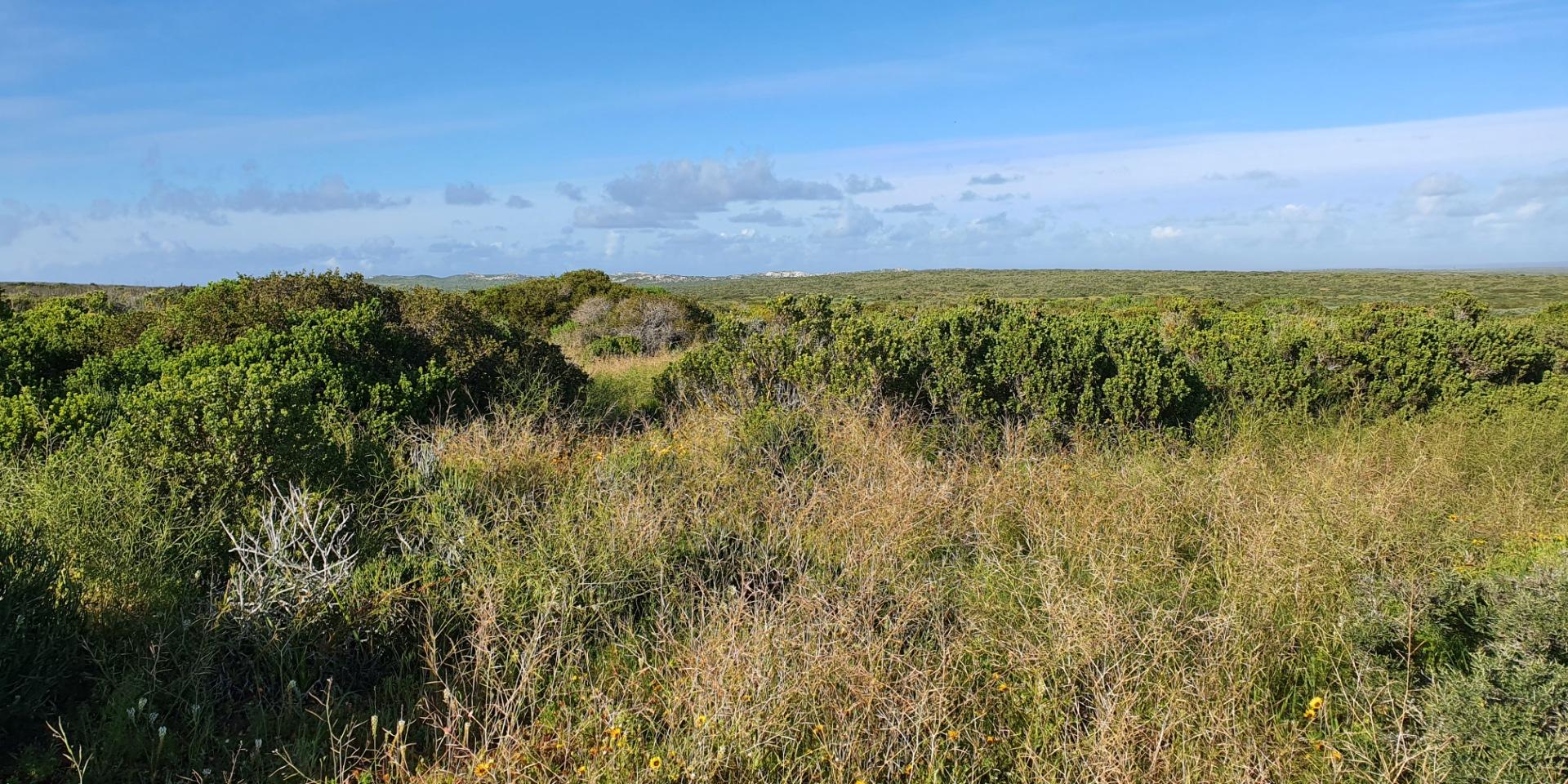 Image 4 of 6