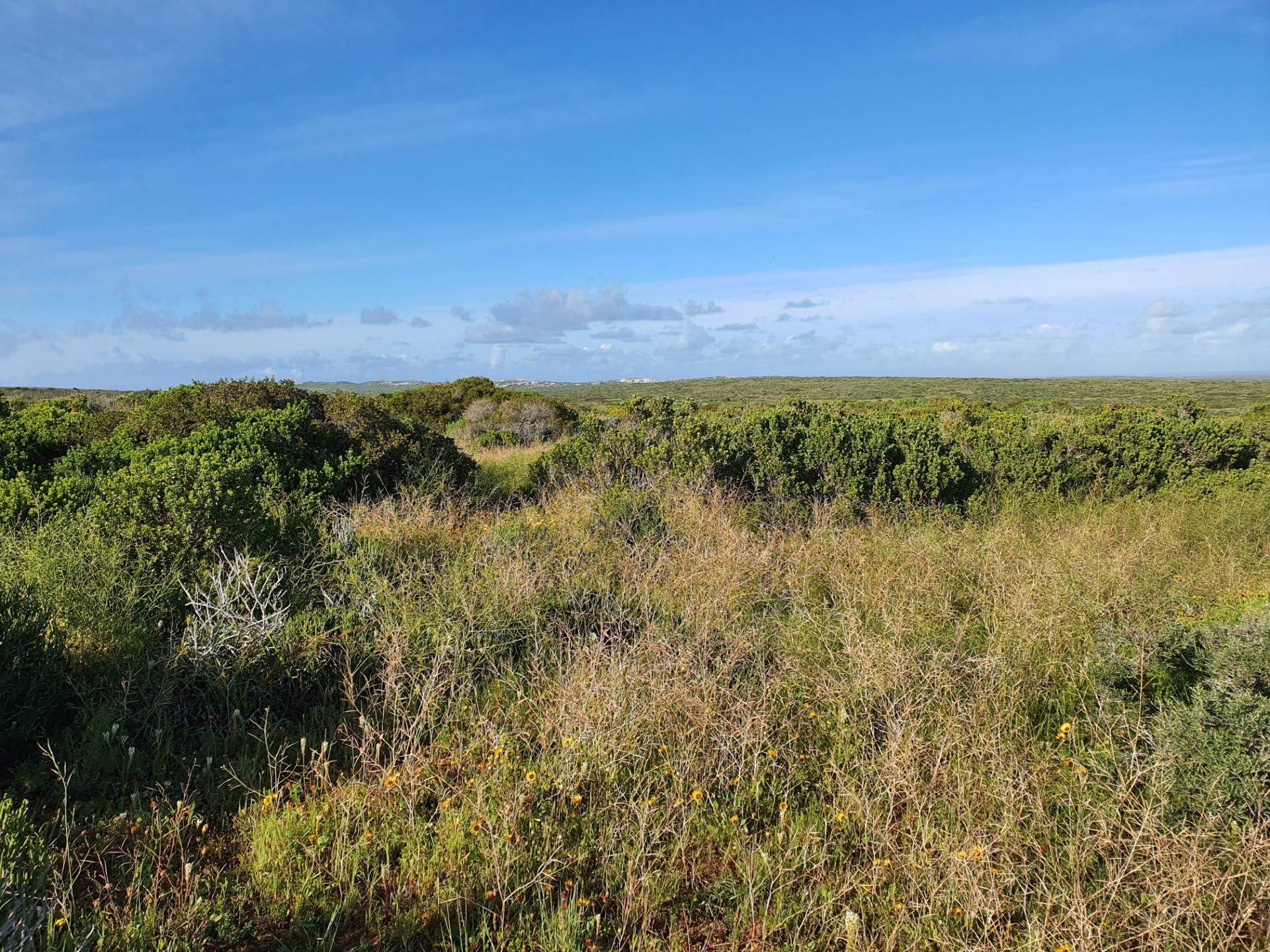 Image 4 of 6