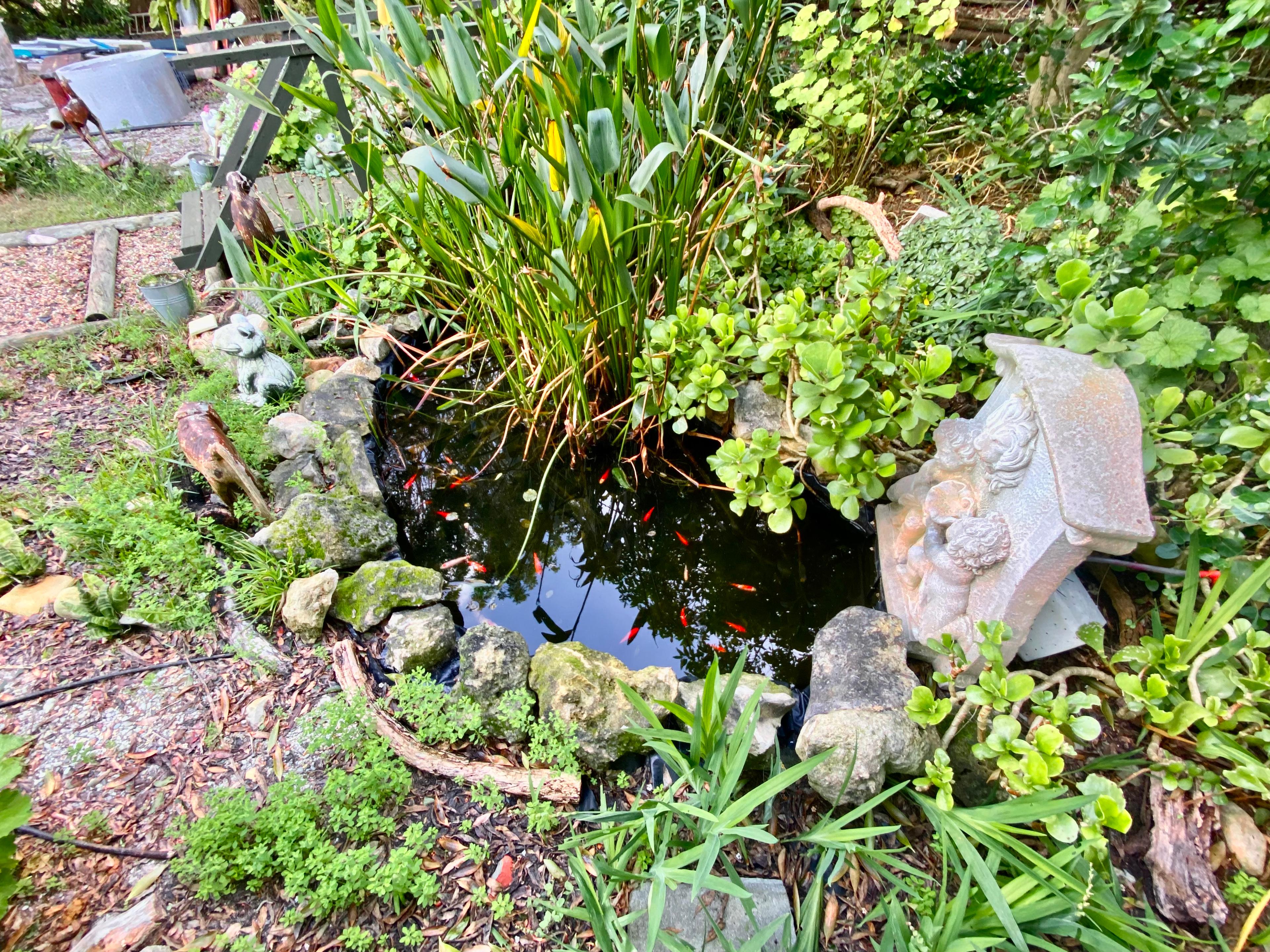 Image 18
