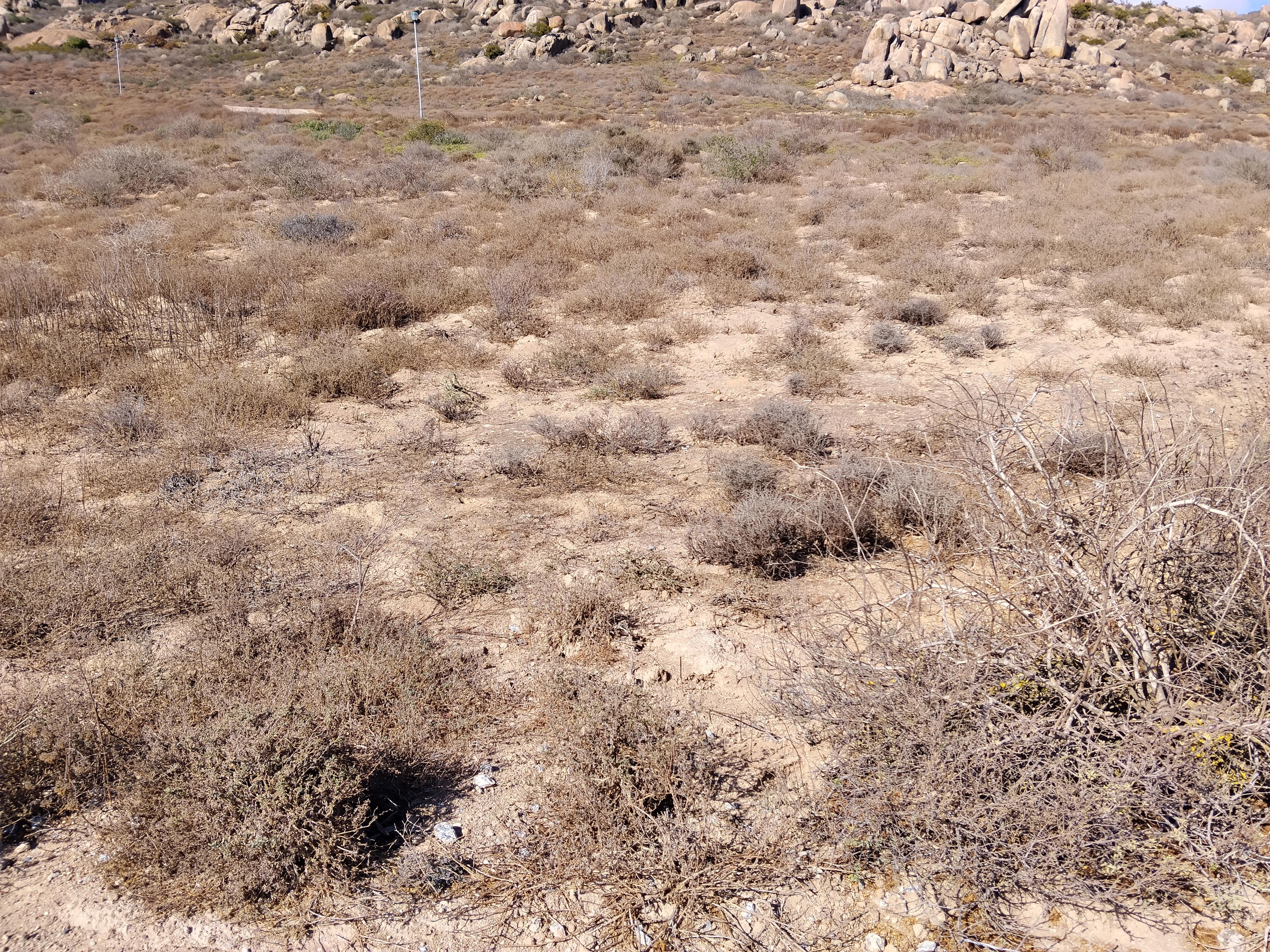 Image 3 of 6