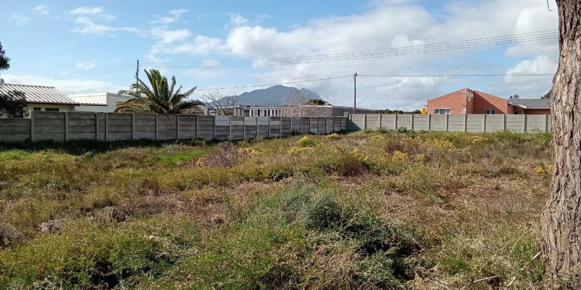Image 5 of 6