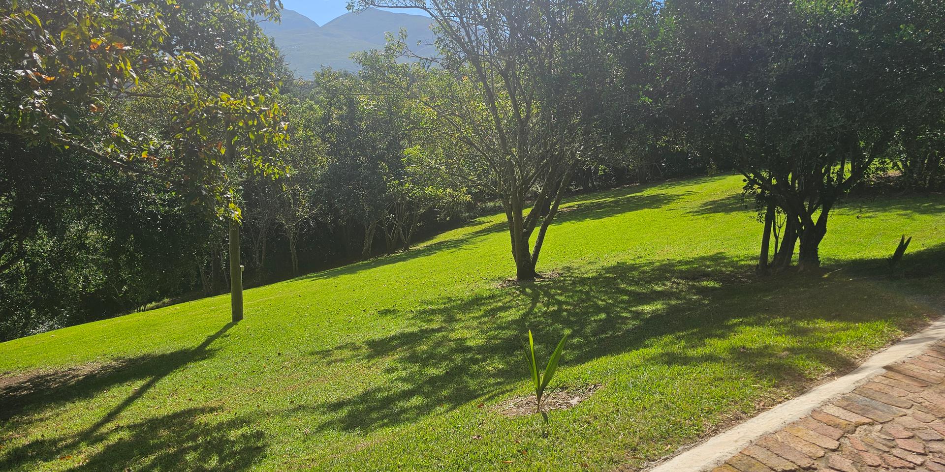 Image 5 of 6