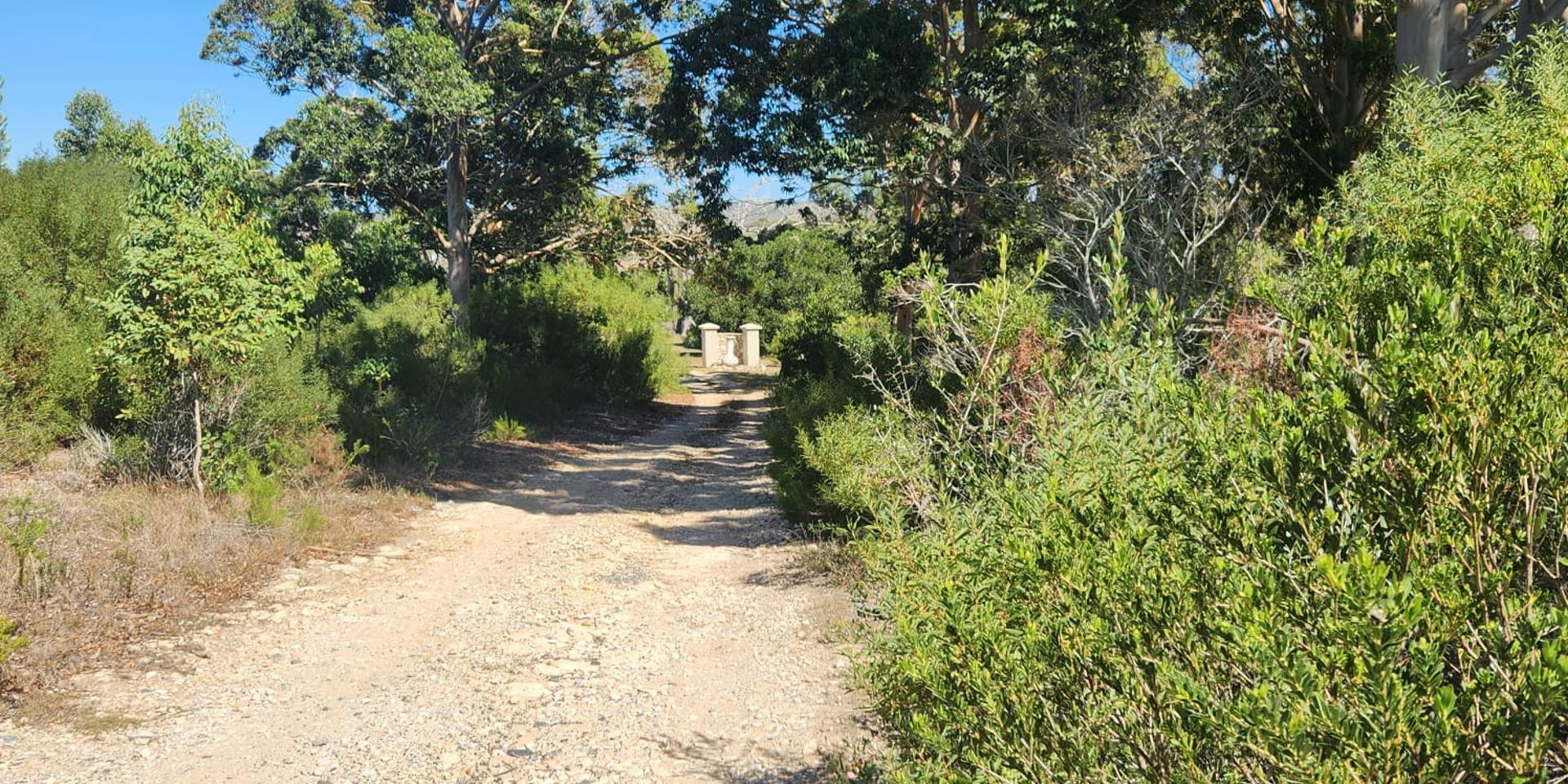 Image 5 of 6