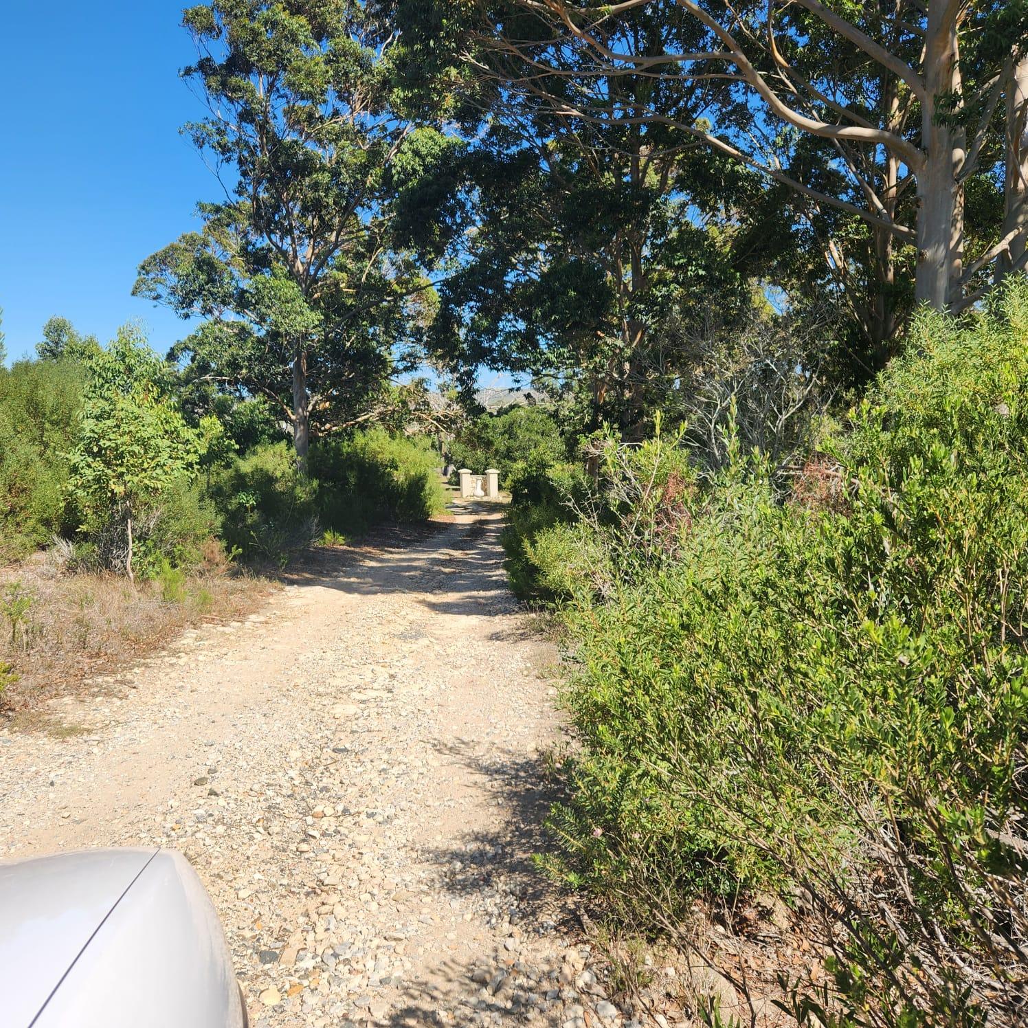 Image 5 of 6