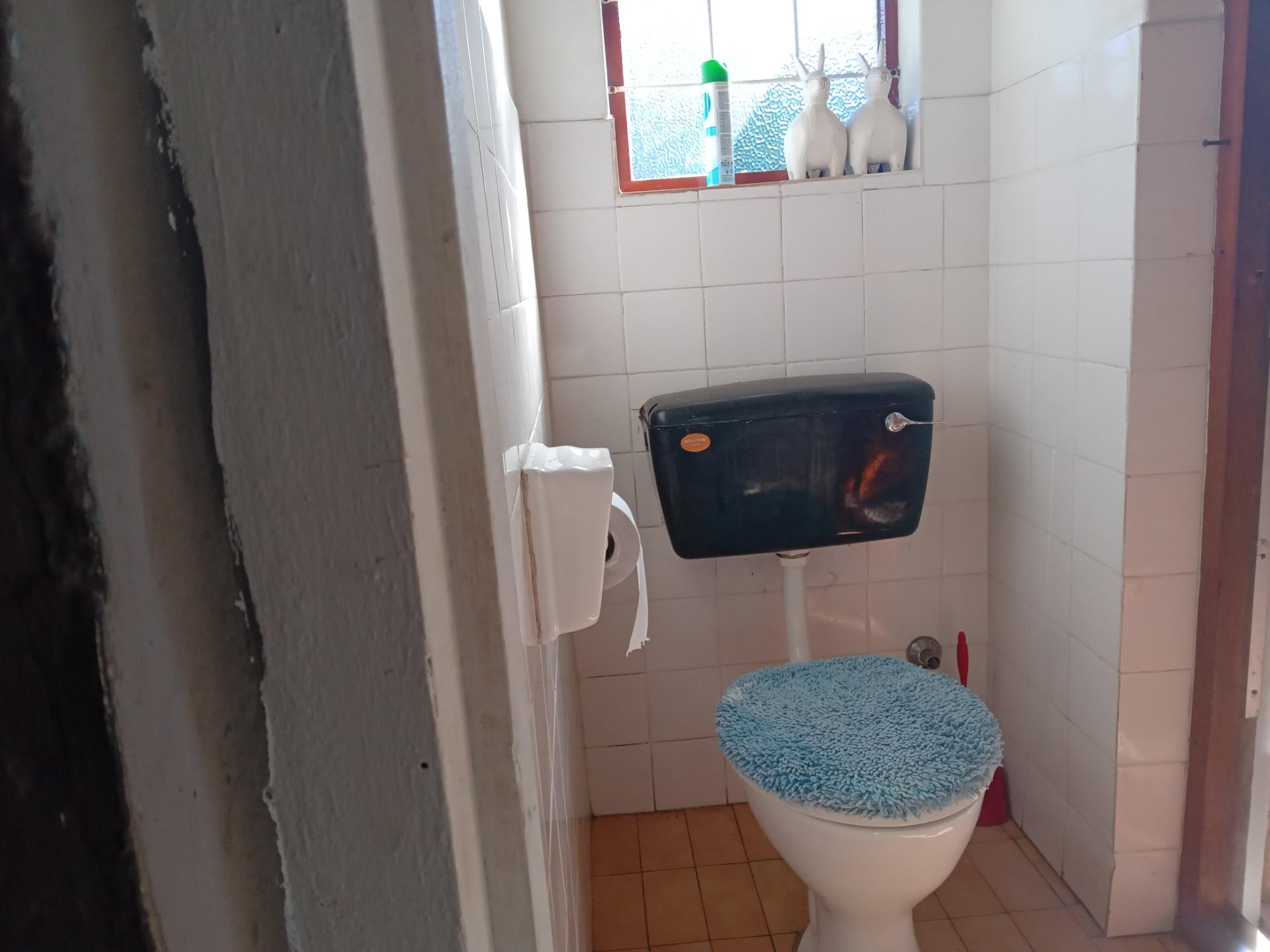 Image 12