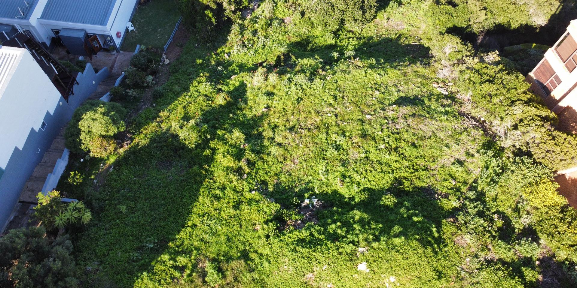Image 5 of 6