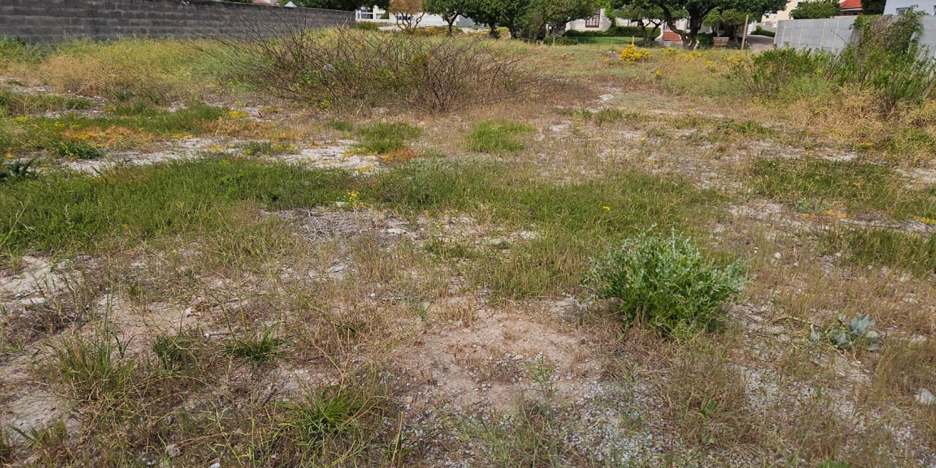 Image 5 of 6