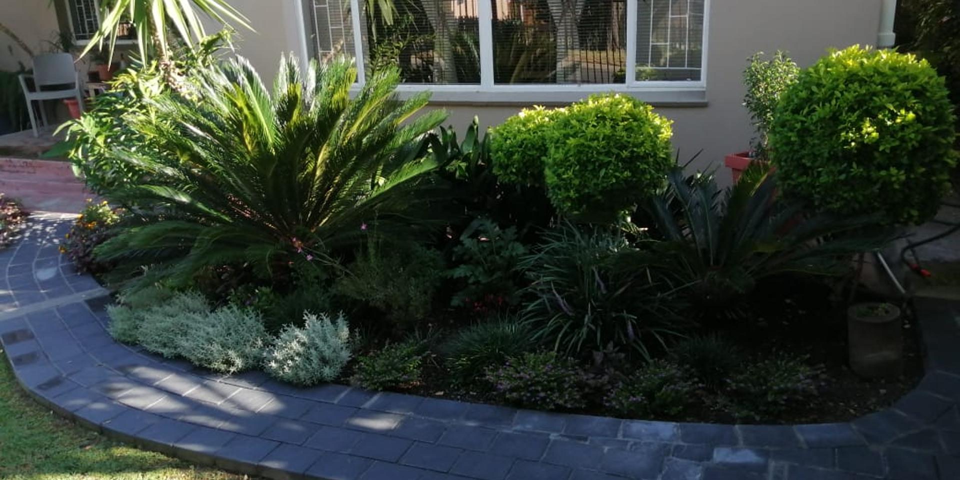 Image 4 of 6