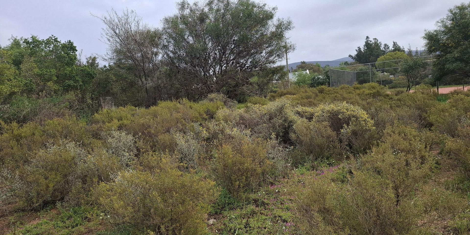 Image 5 of 6