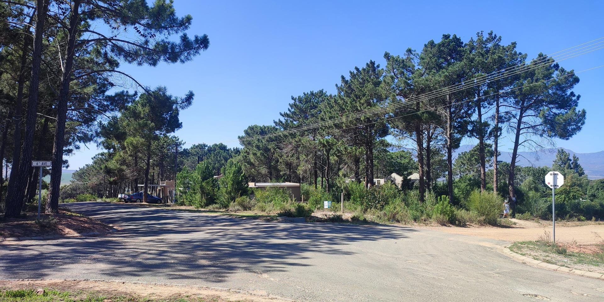 Image 4 of 6