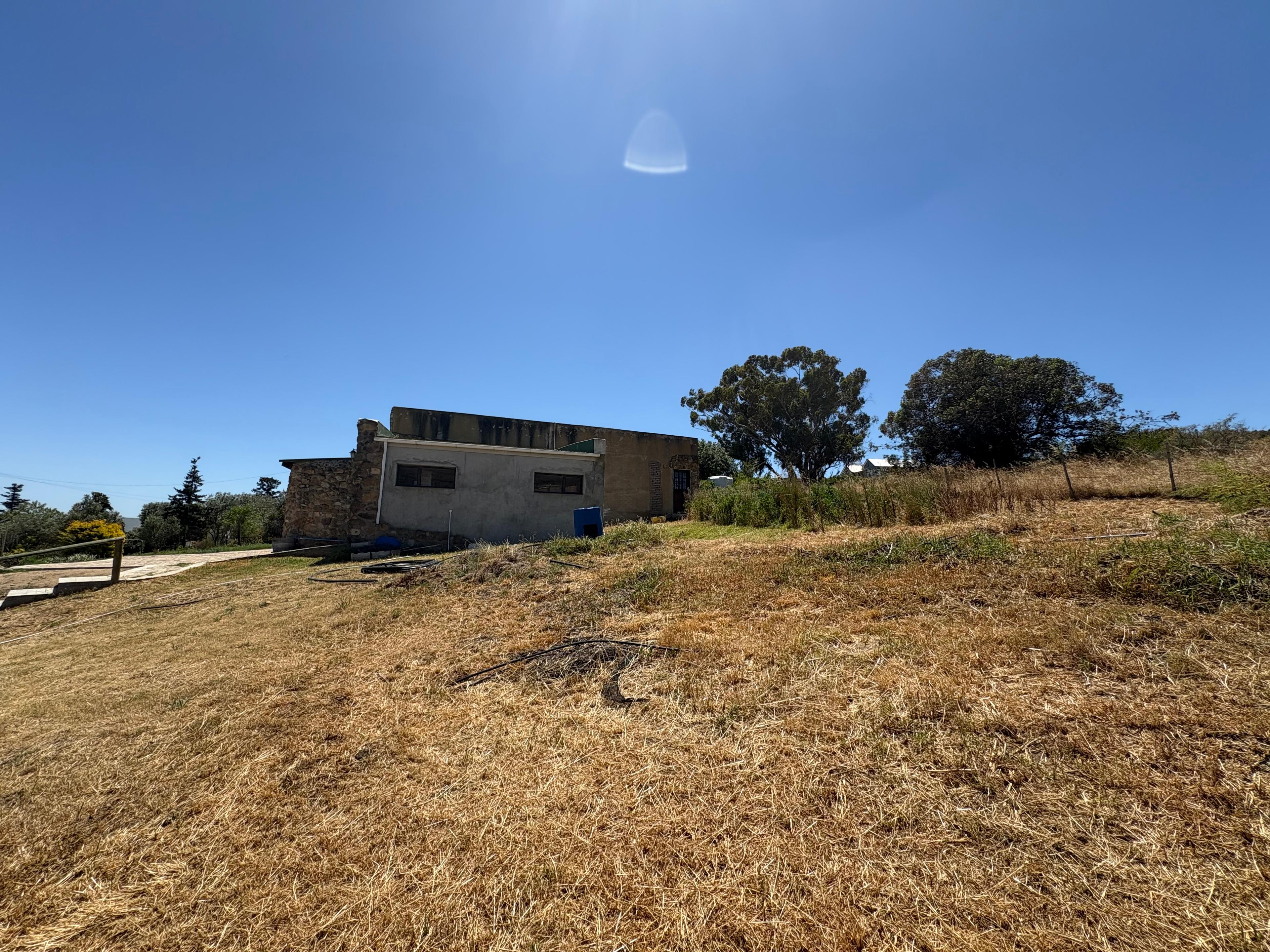 Image 10