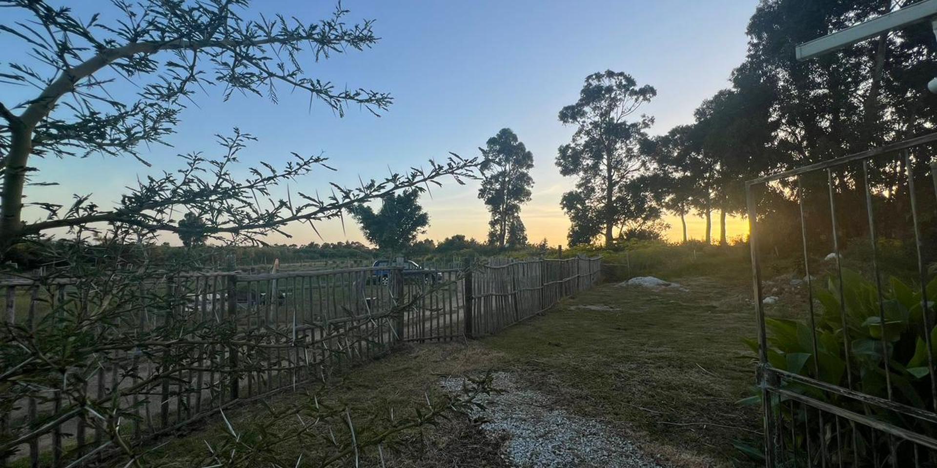 Image 2 of 6