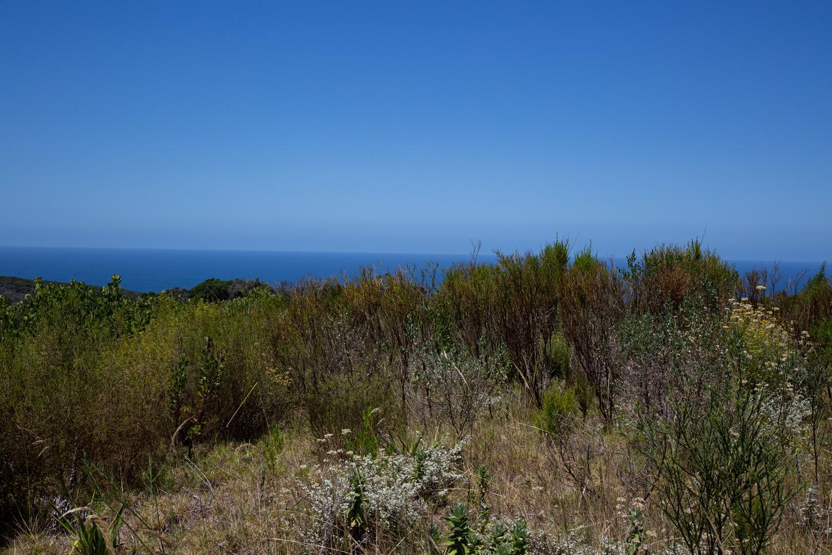 Image 23