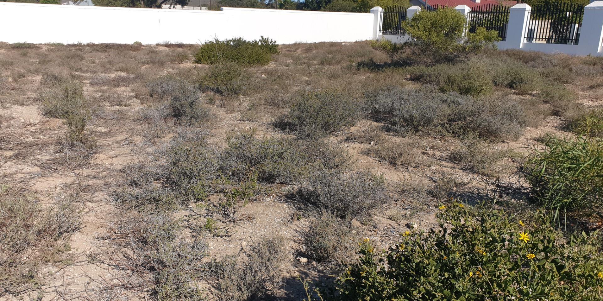 Image 3 of 6