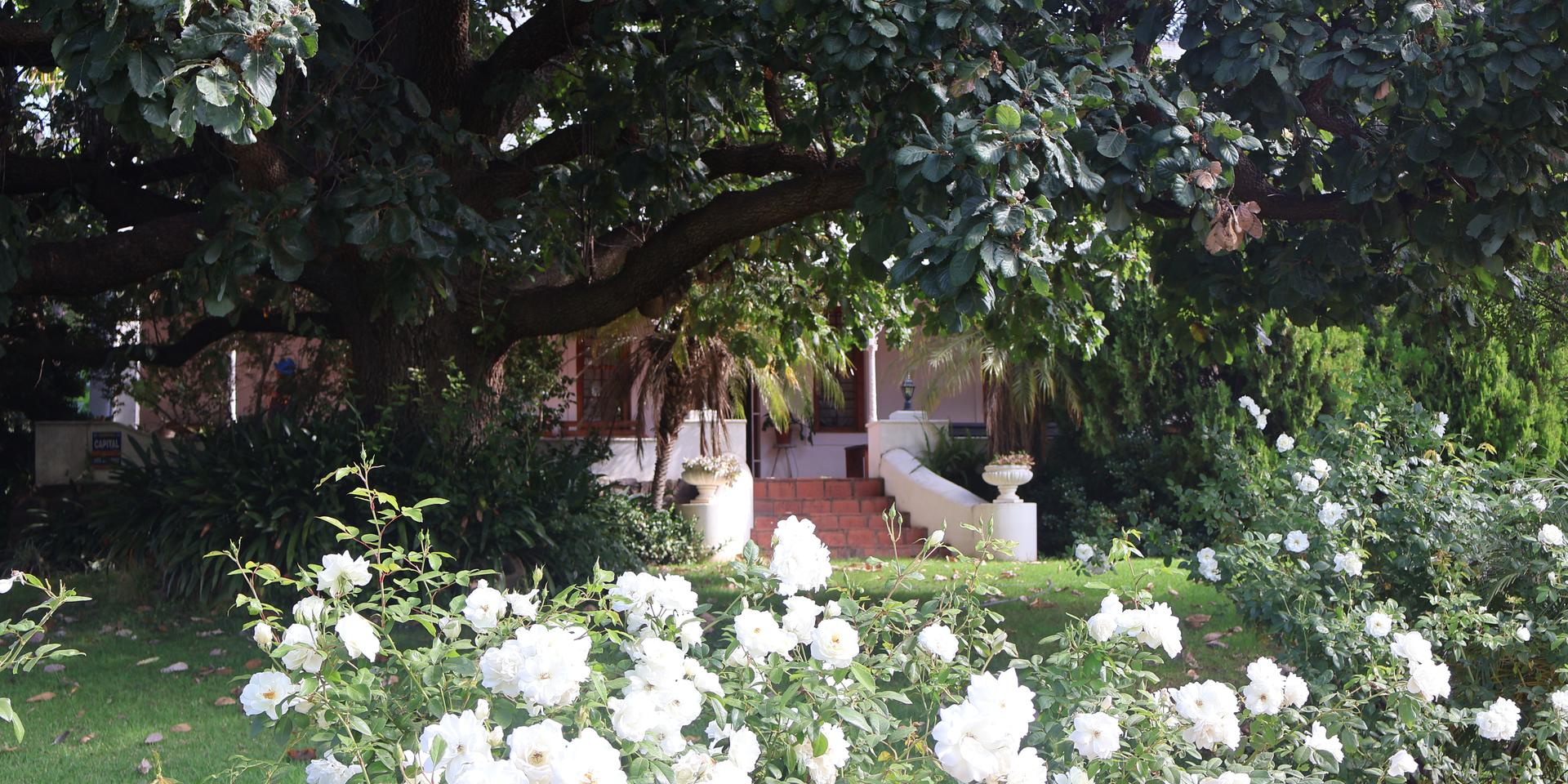 Image 4 of 6