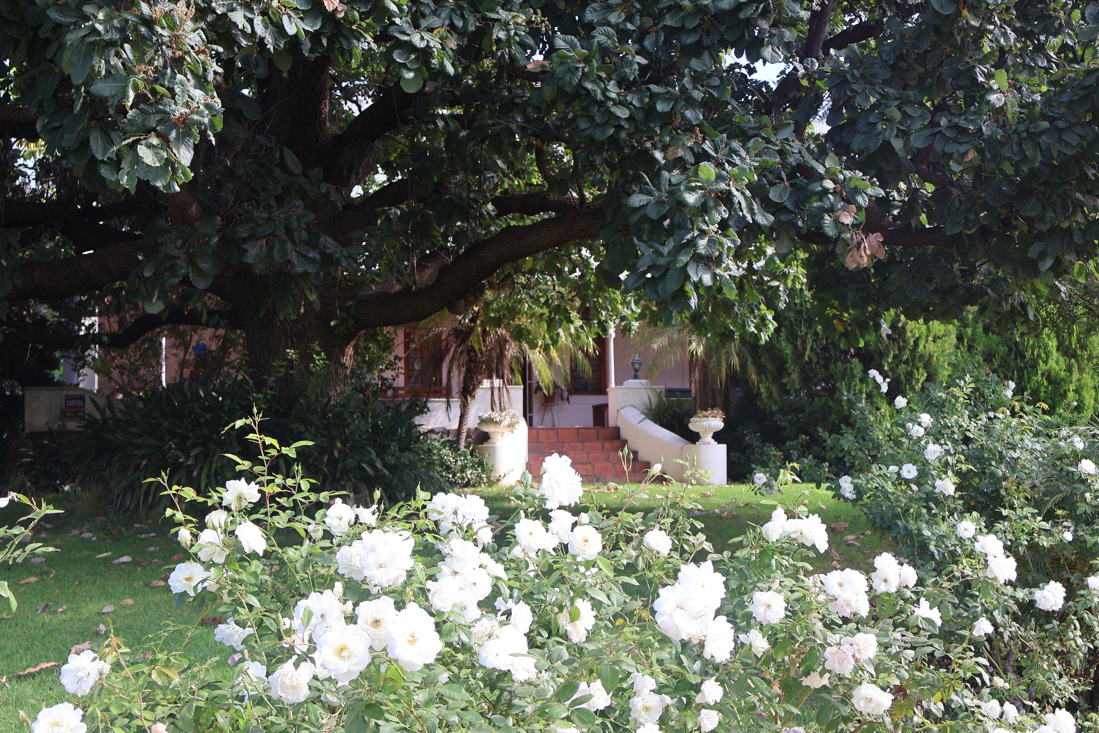 Image 4 of 6
