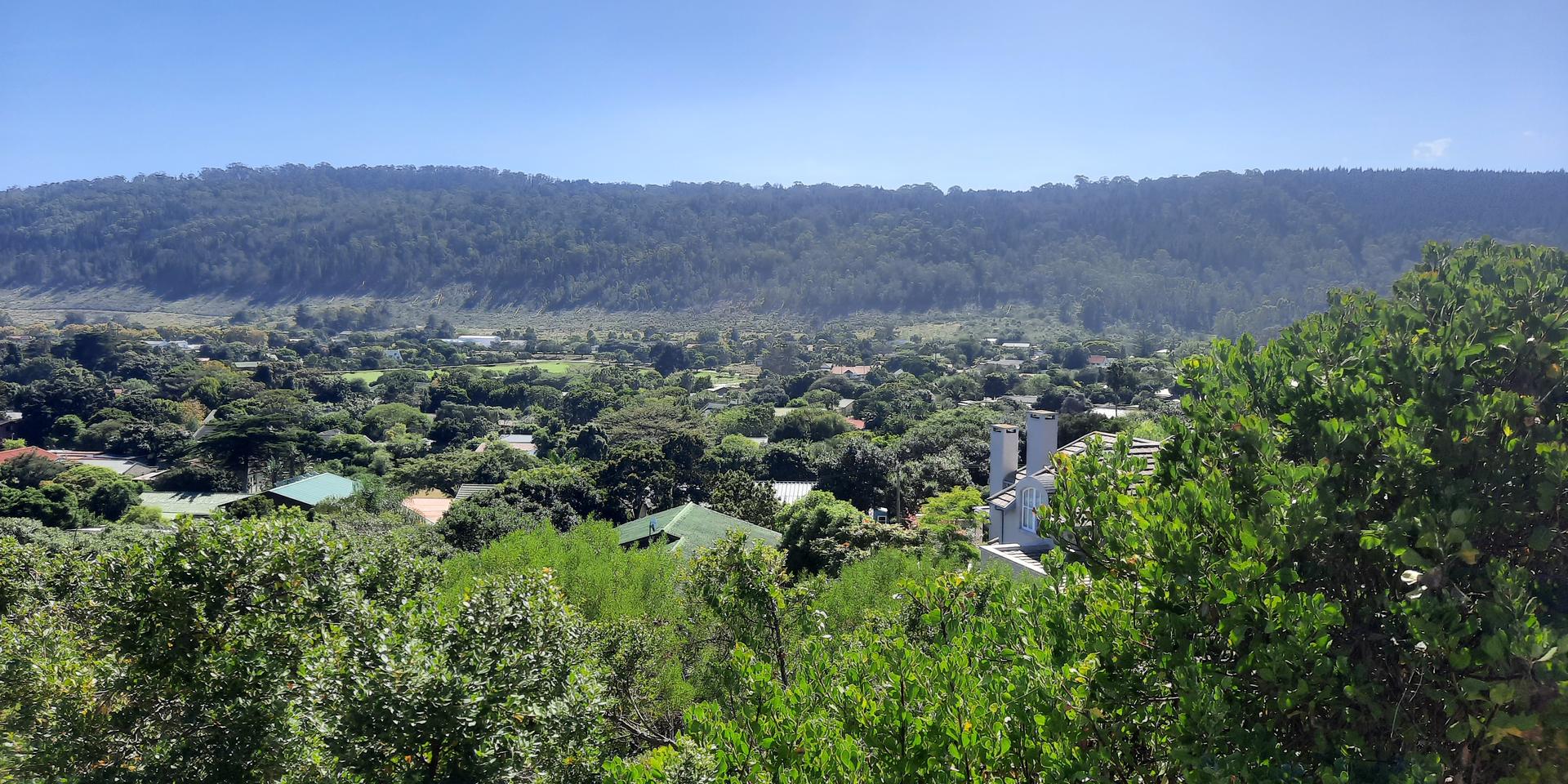Image 4 of 6
