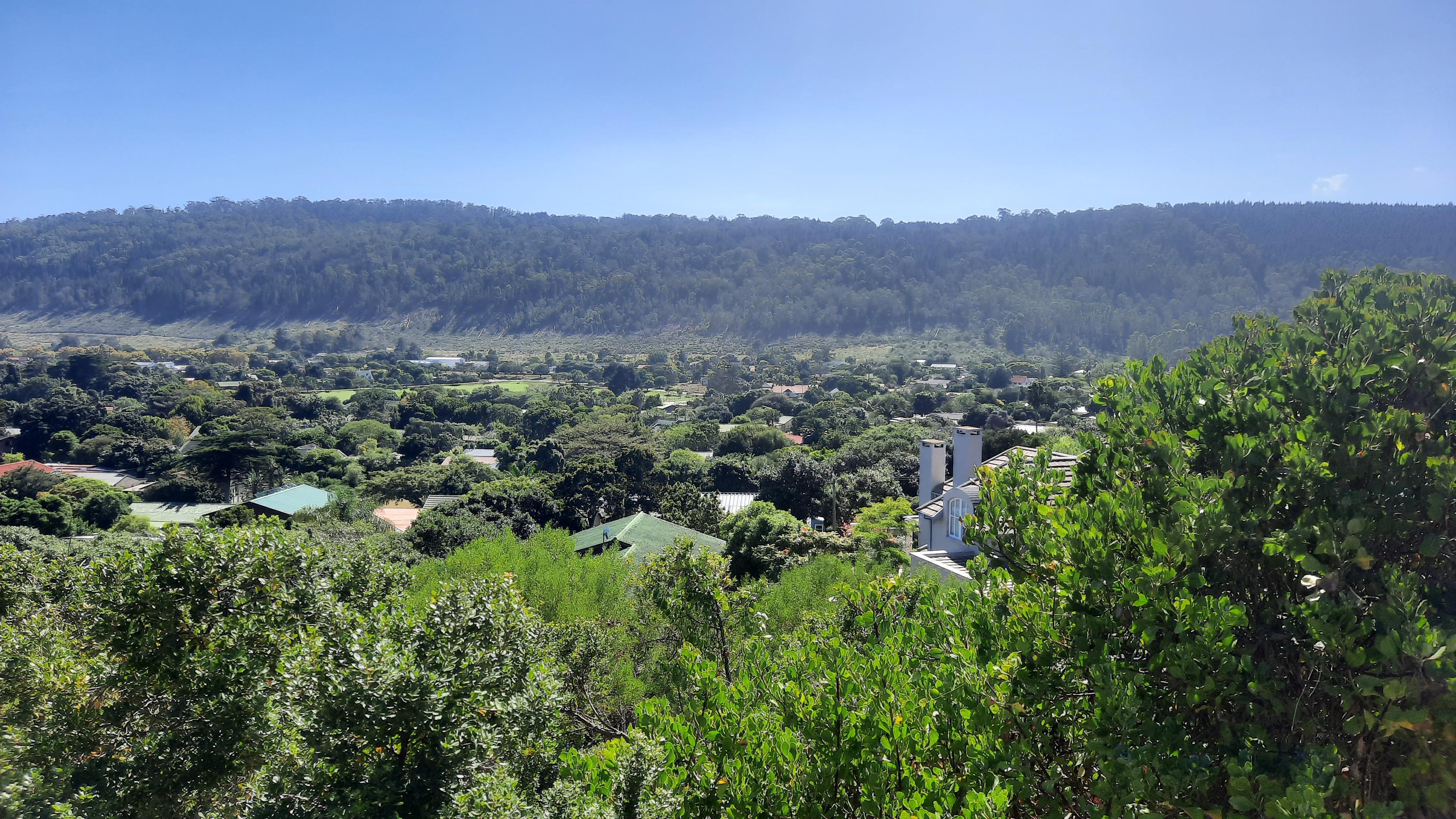 Image 4 of 6