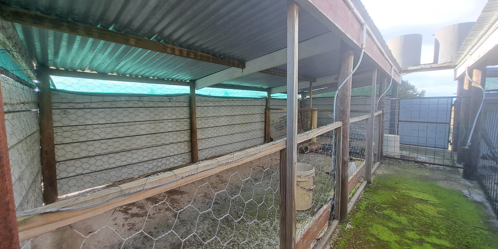 Image 4 of 6
