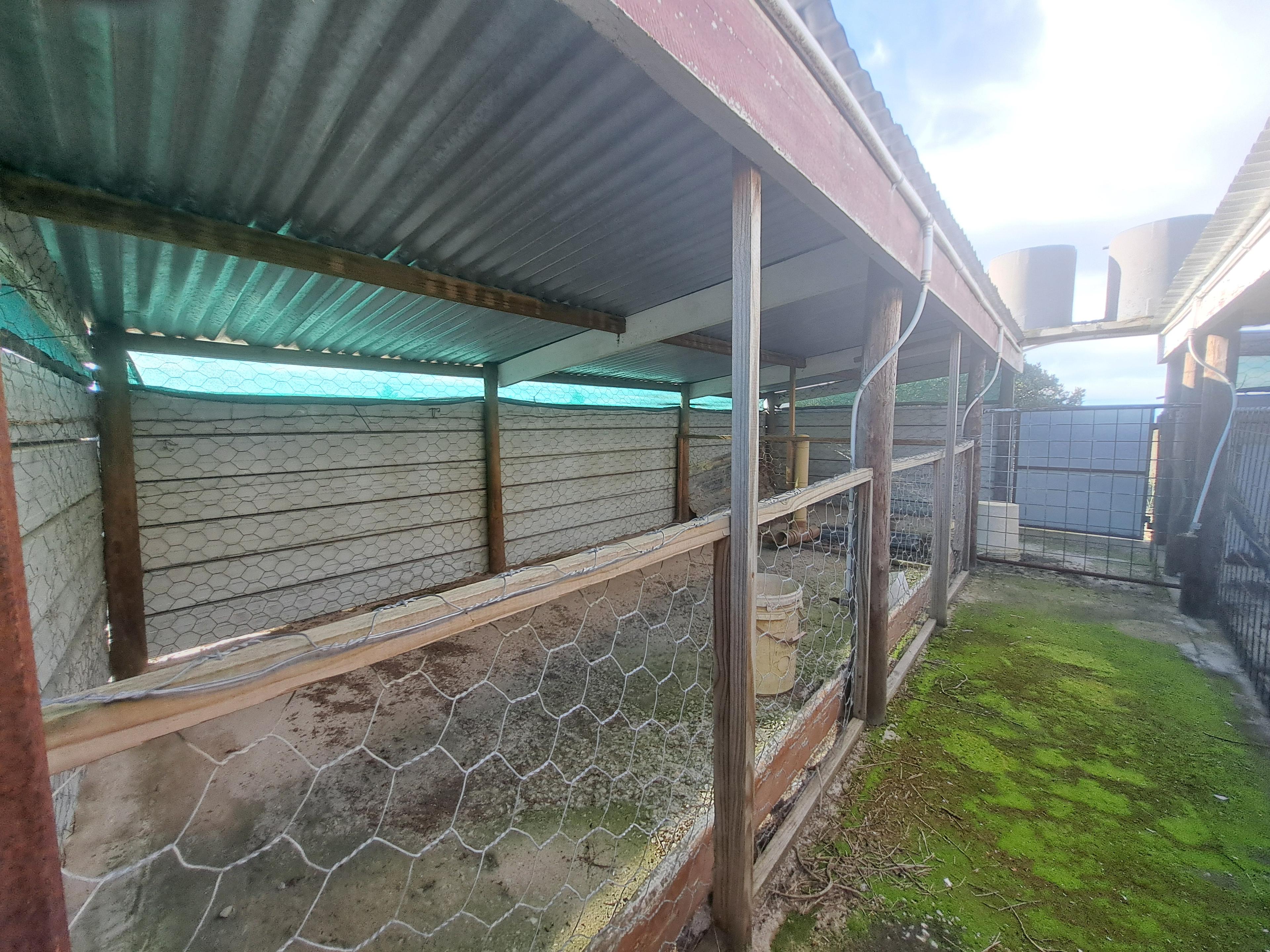 Image 4 of 6