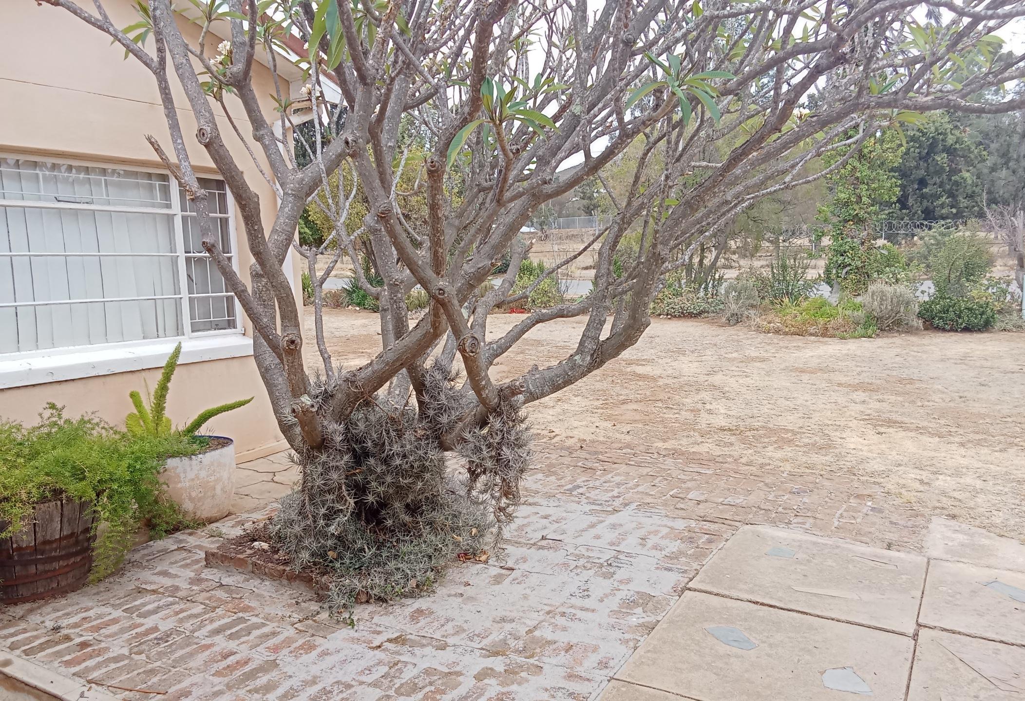 Image 15