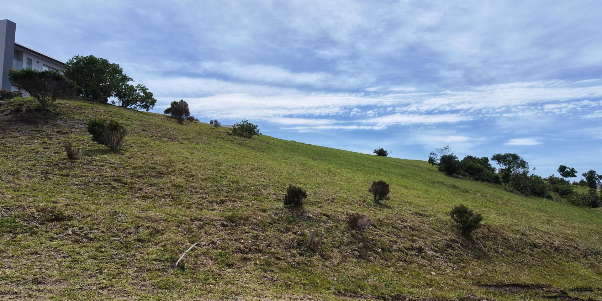 Image 4 of 6