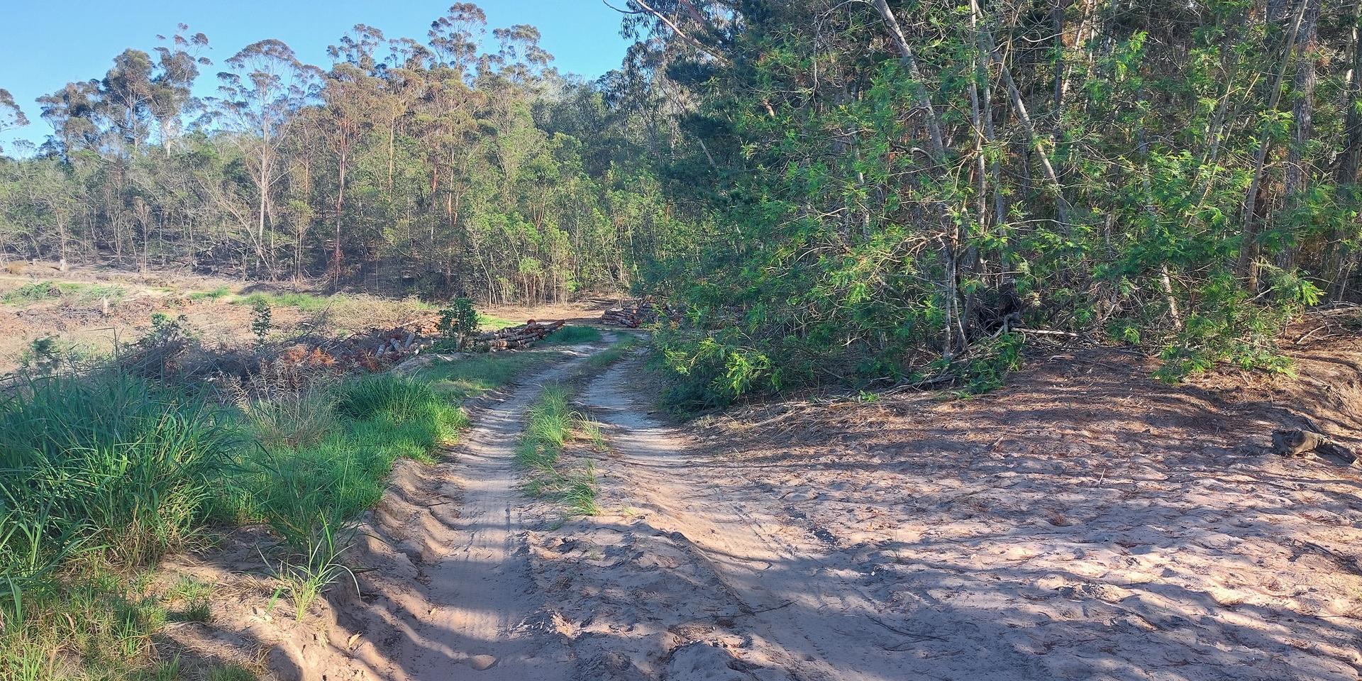 Image 4 of 6