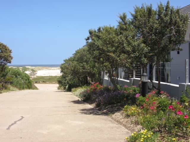 Image 20