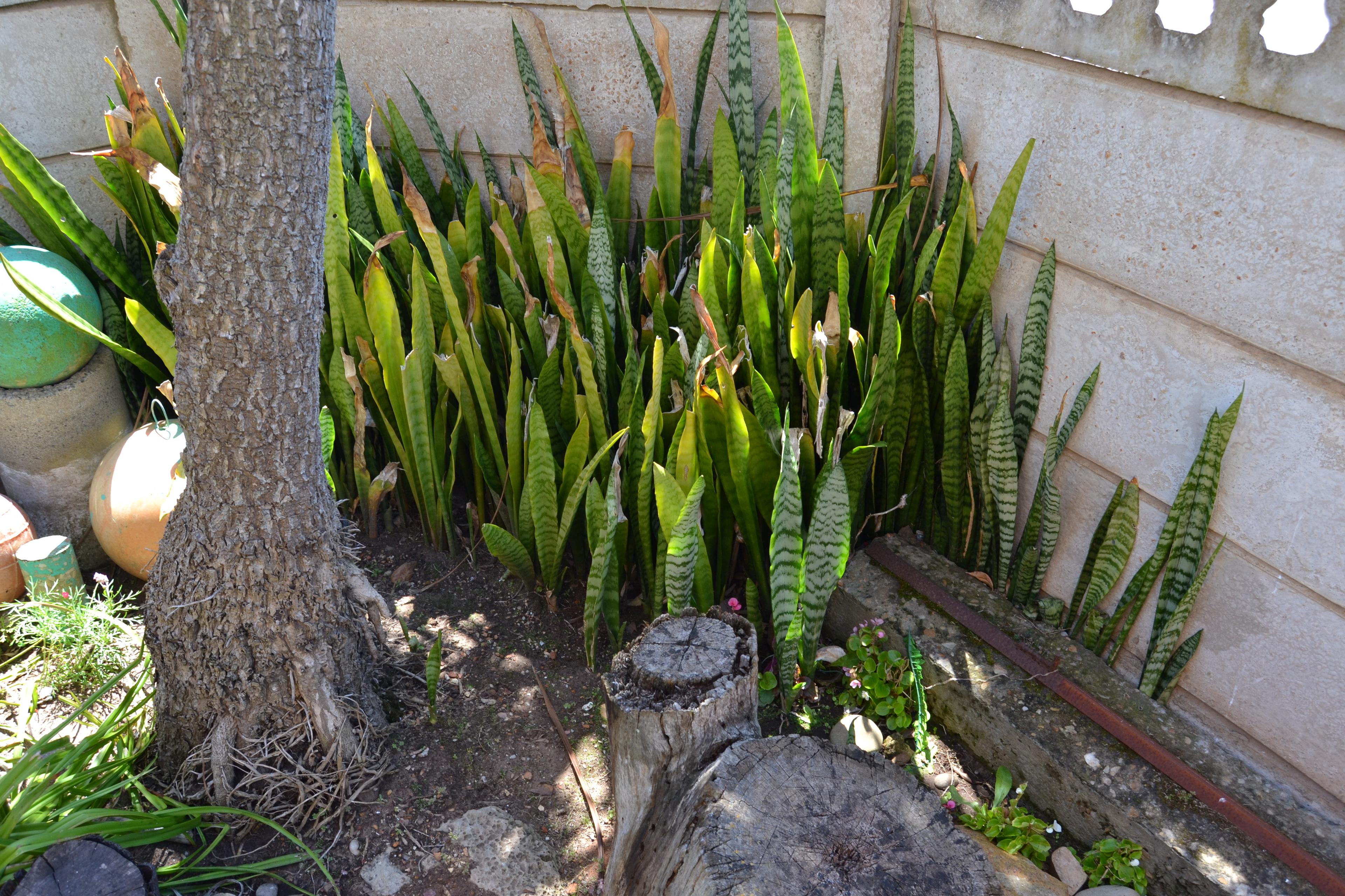 Image 19
