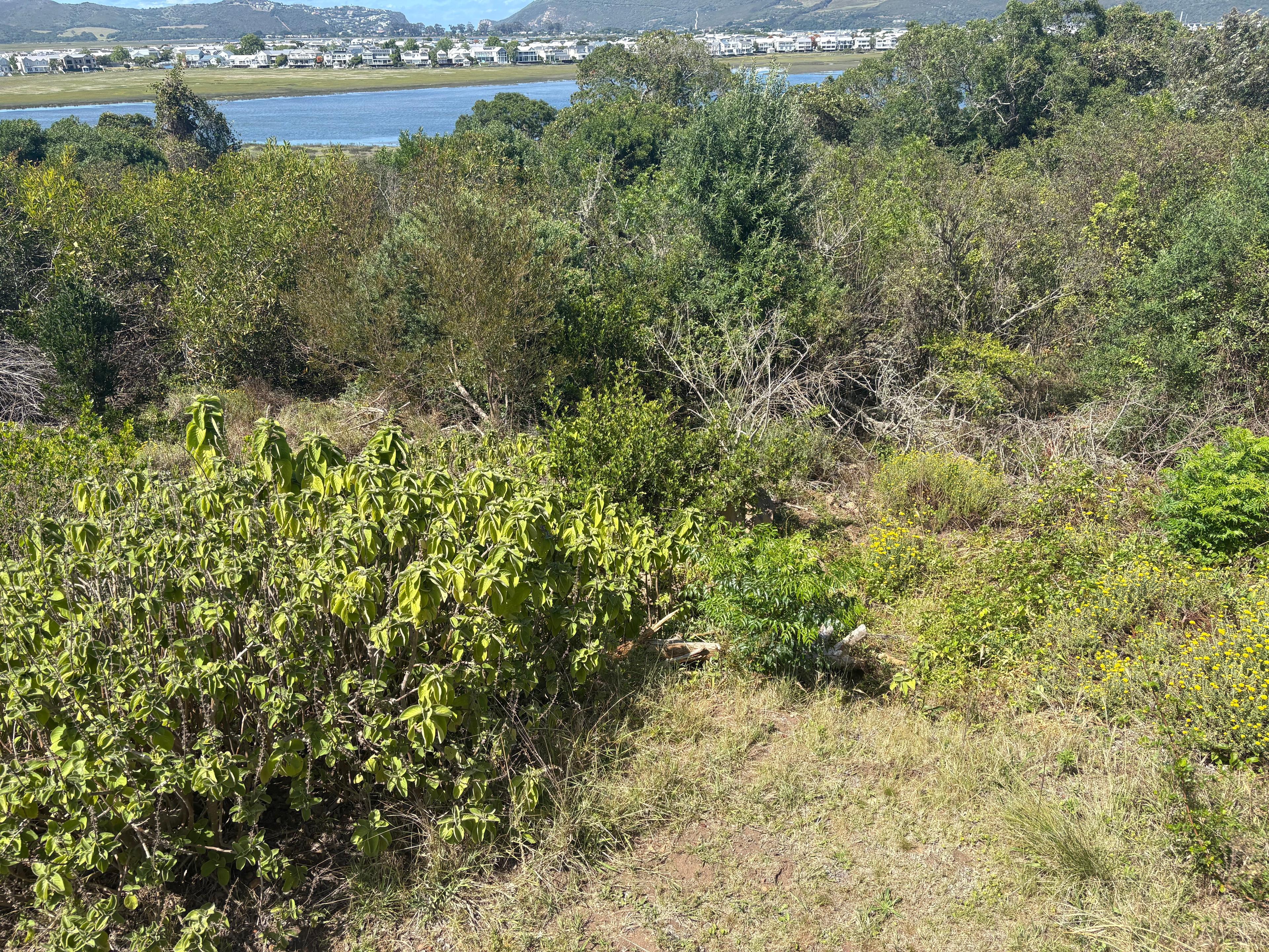 Image 22