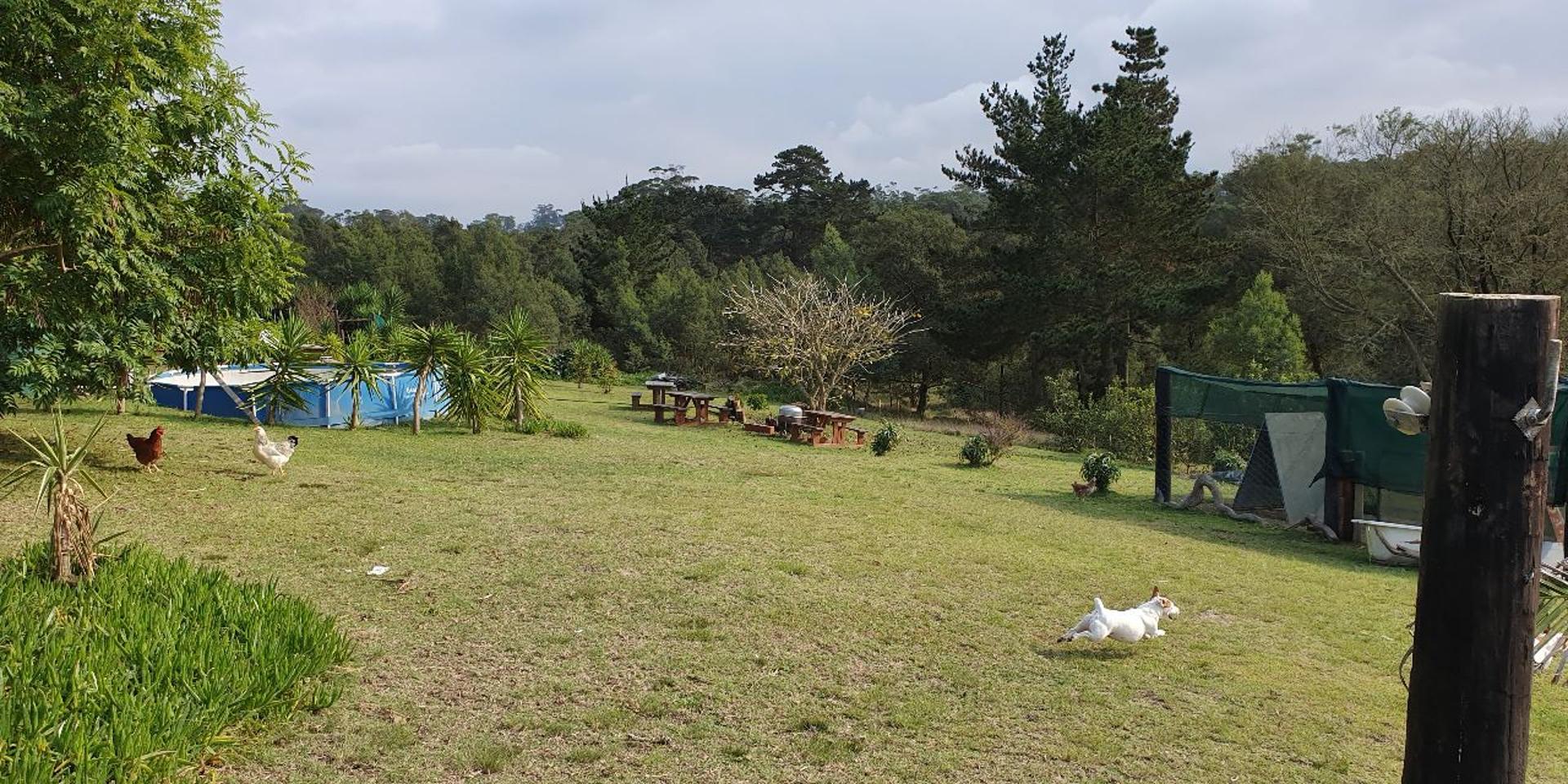 Image 5 of 6