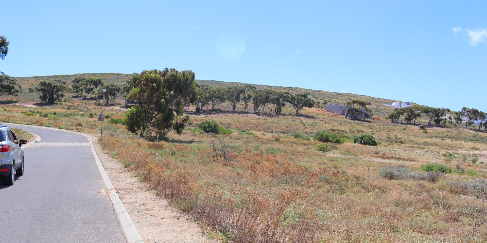 Image 5 of 6