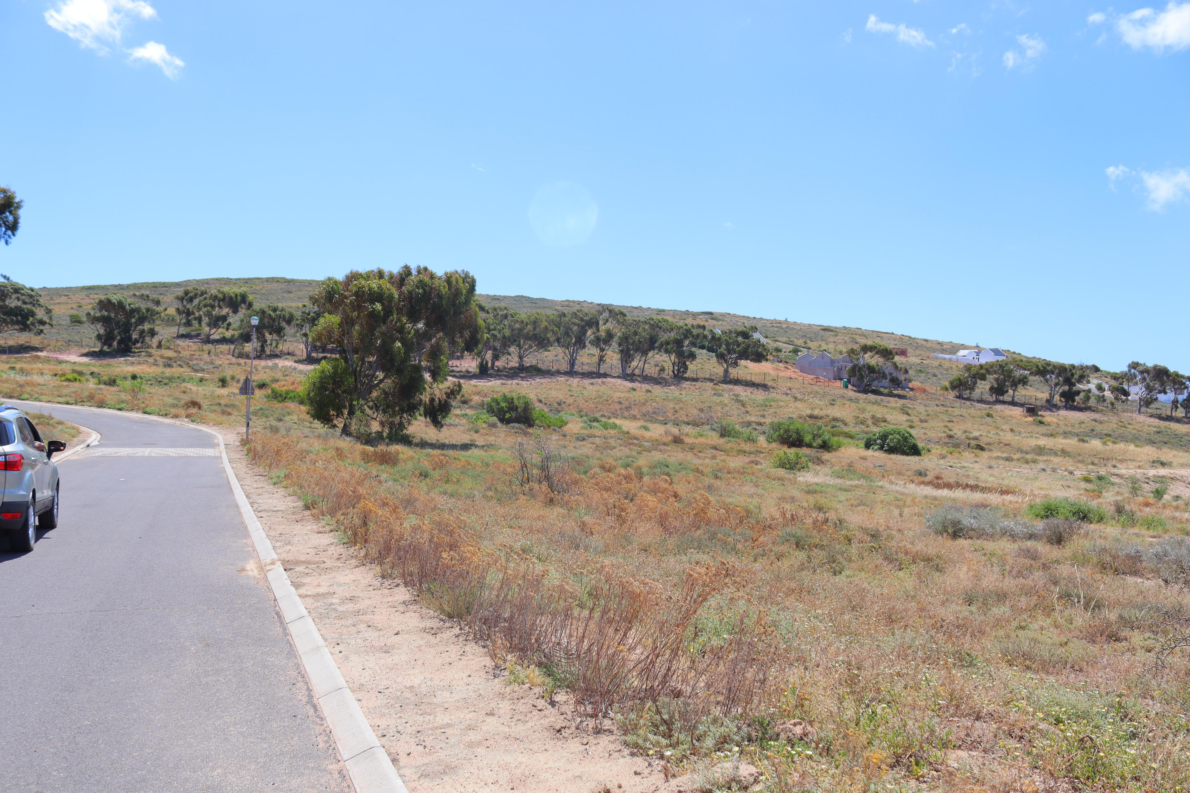 Image 5 of 6